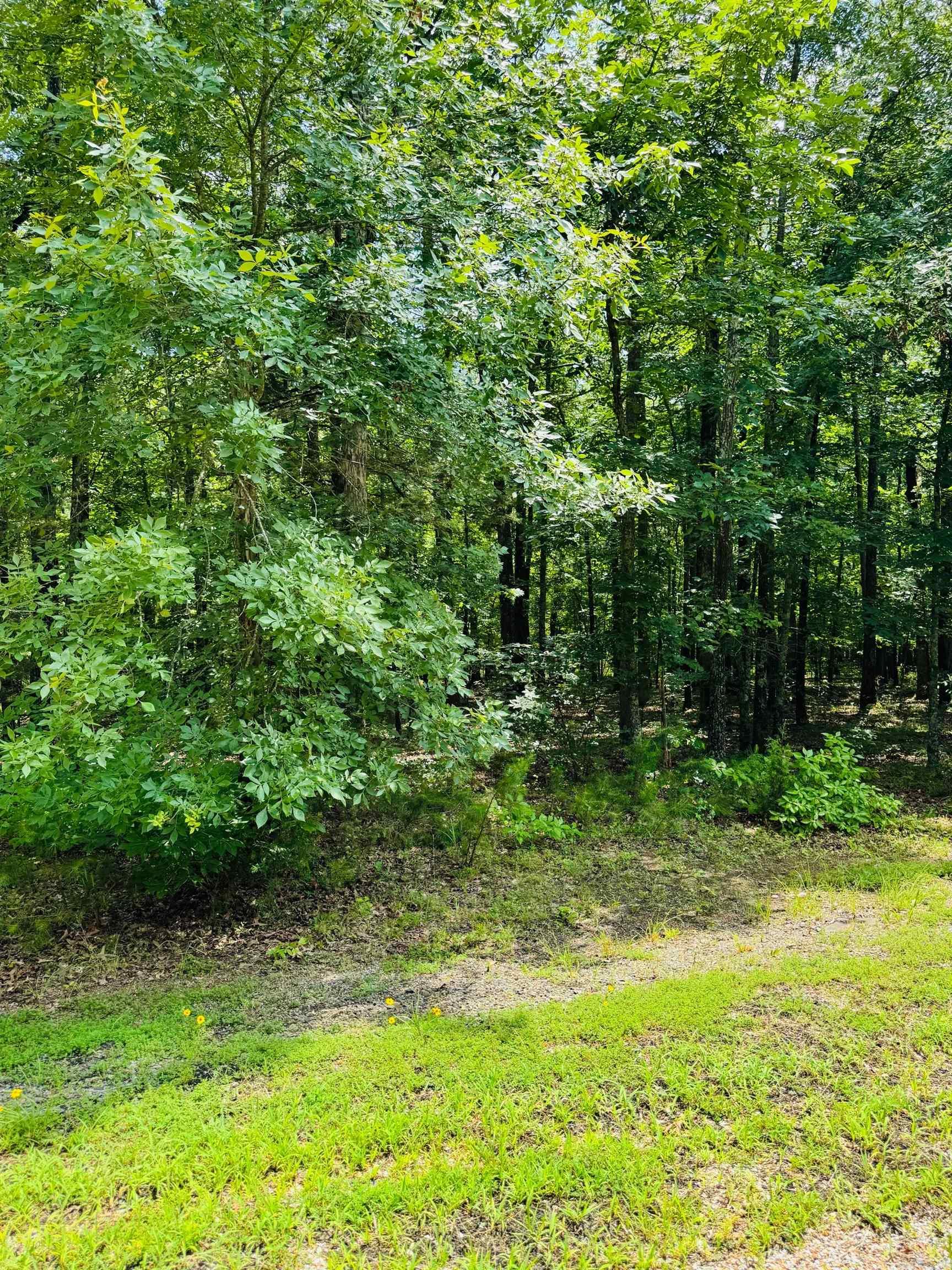 Lot 44 Primrose Creek Property Photo 1