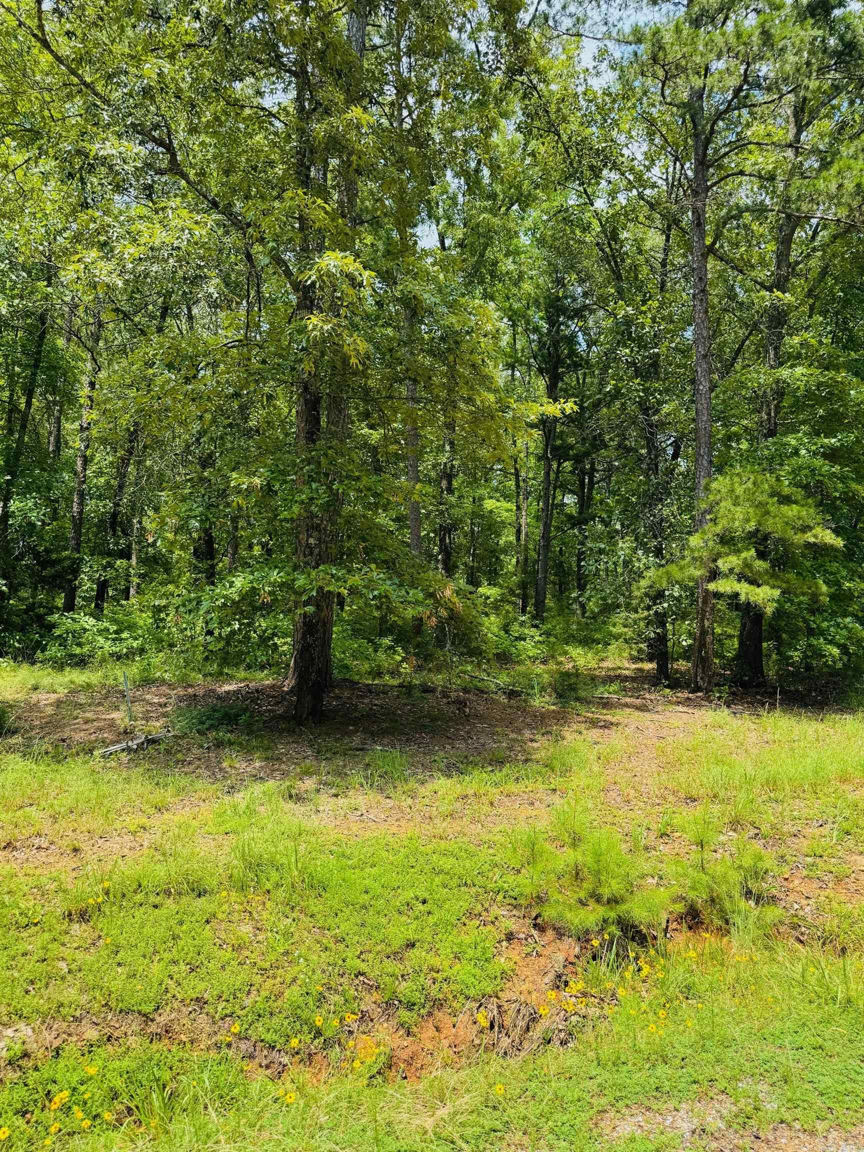 Lot 49 Primrose Creek Property Photo 1