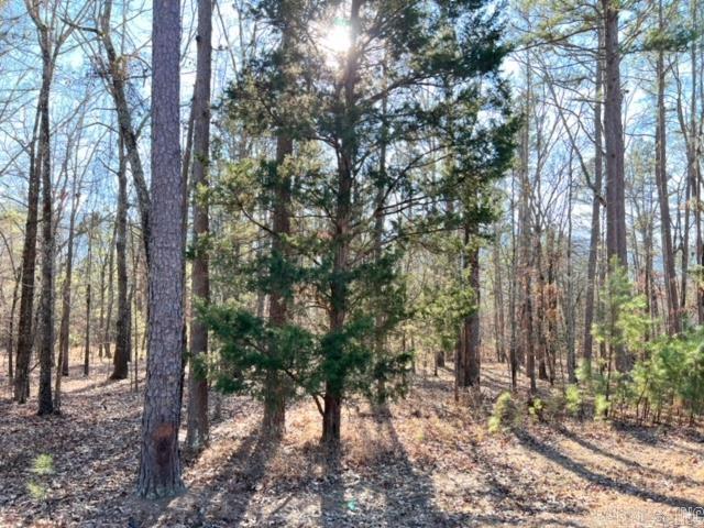 Lot 39 Primrose Creek Property Photo 14