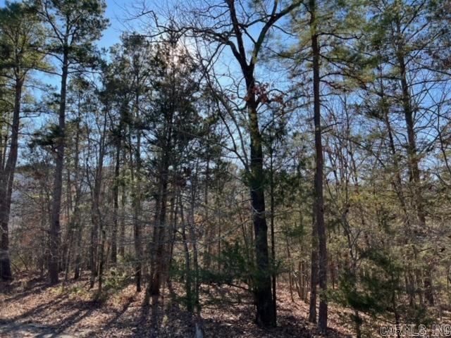 Lot 52 Primrose Creek Property Photo 16