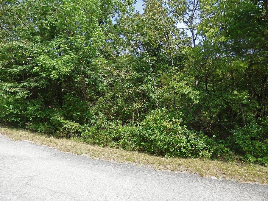 32 & 33 Isleta Drive Property Photo 3