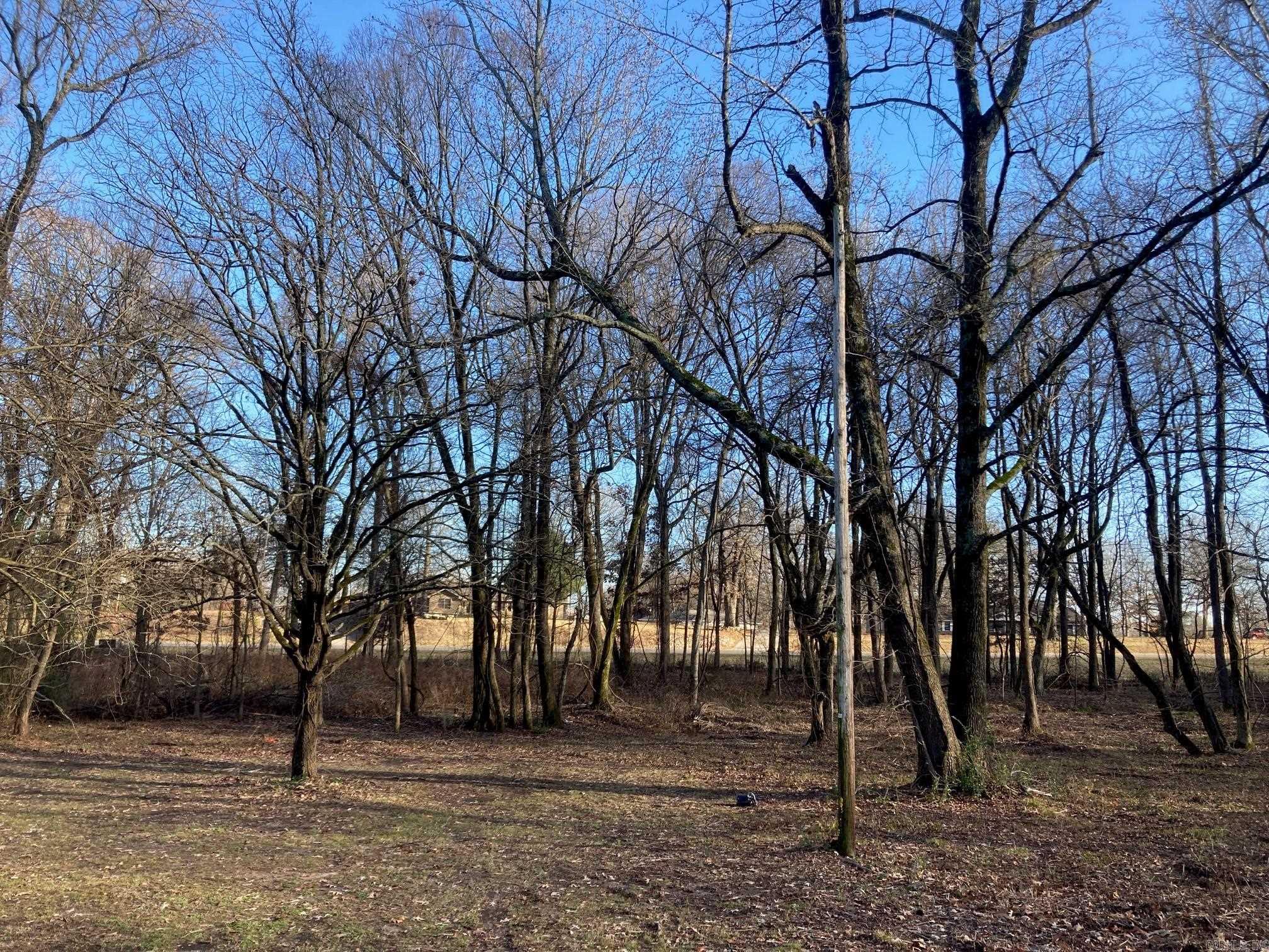 6501 Stadium Property Photo 8