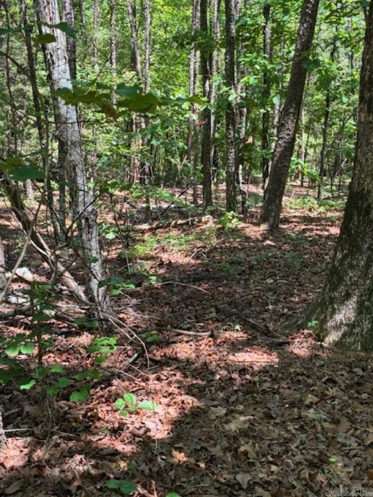 Castano (lot 12) Lane Property Photo 1