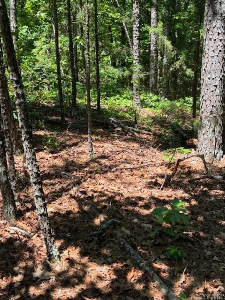 Castano (lot 12) Lane Property Photo 3