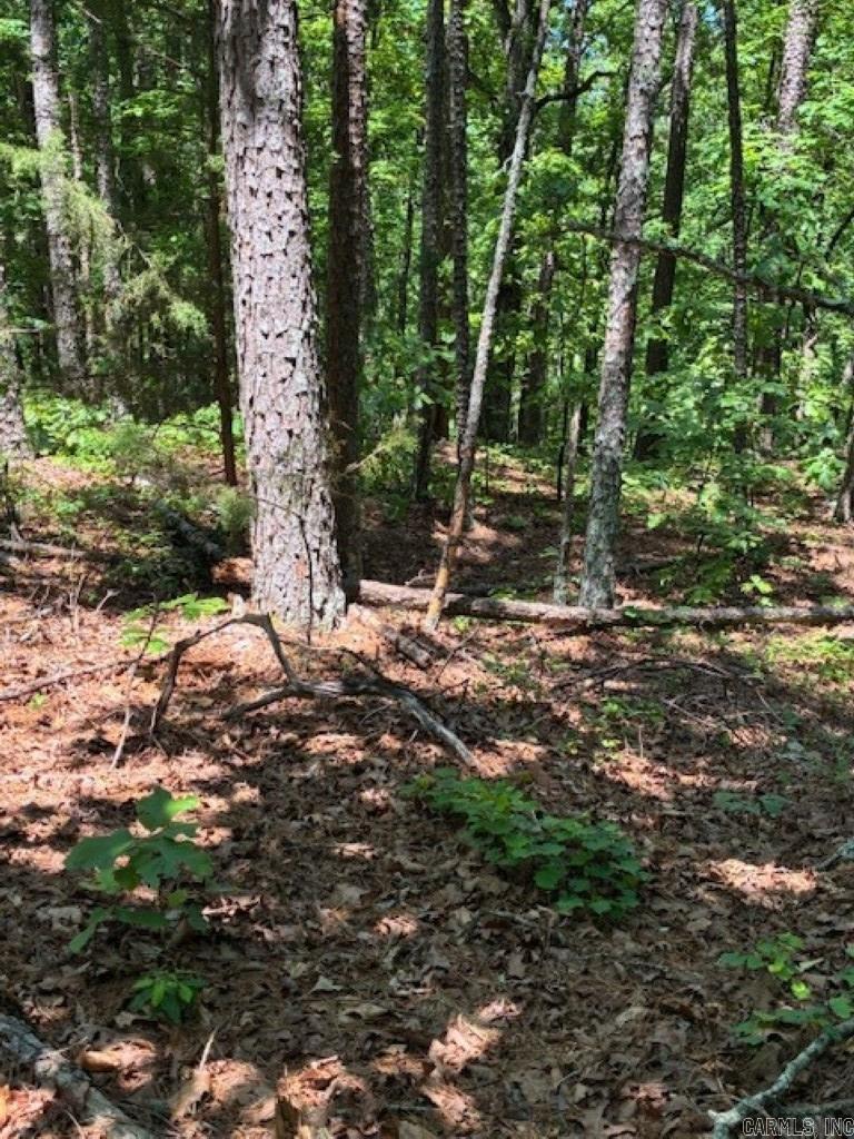 Castano (lot 12) Lane Property Photo 4