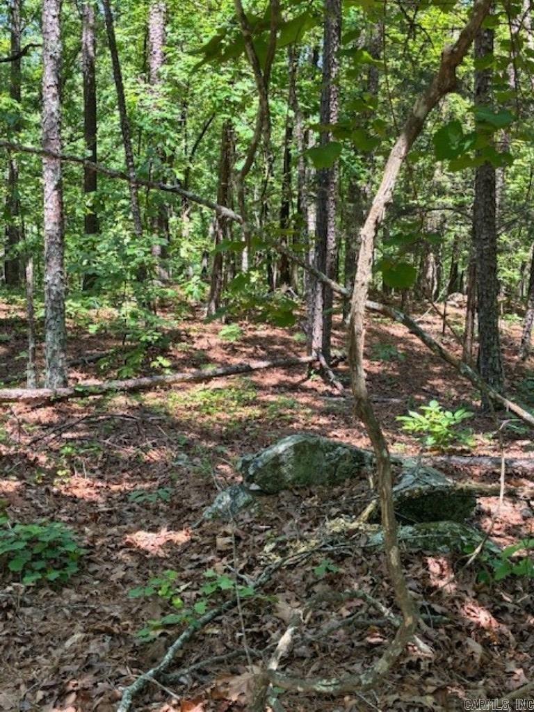 Castano (lot 12) Lane Property Photo 5