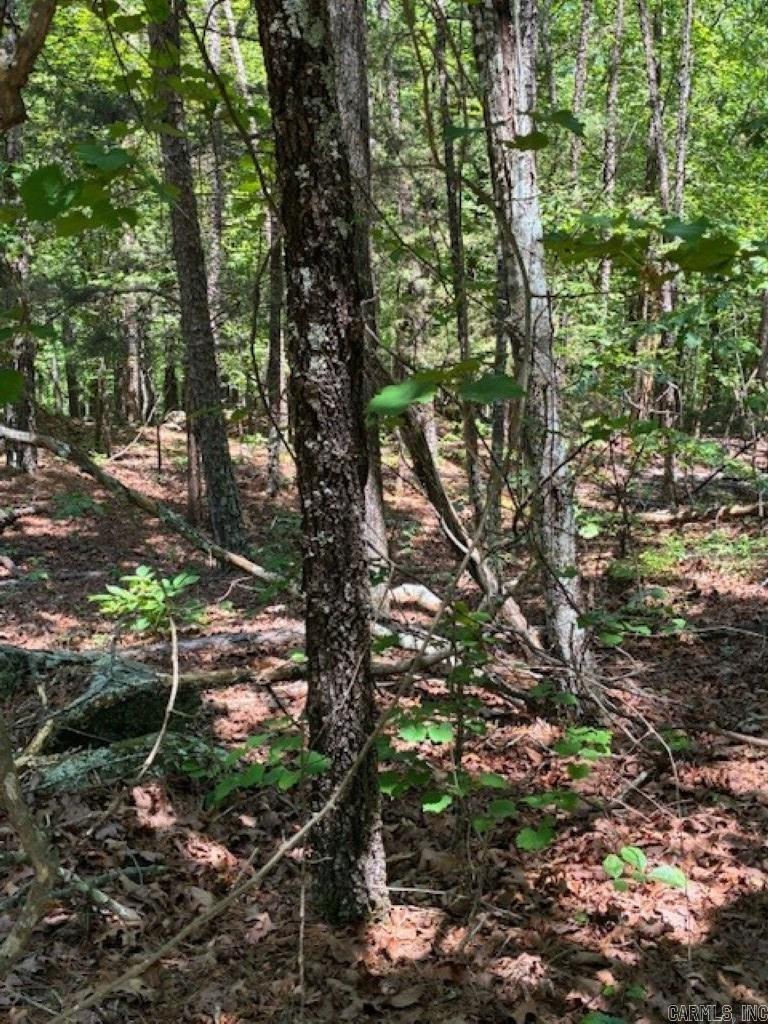 Castano (lot 12) Lane Property Photo 6
