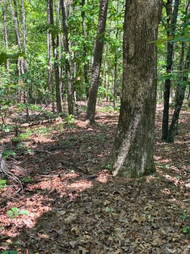 Castano (lot 12) Lane Property Photo 7