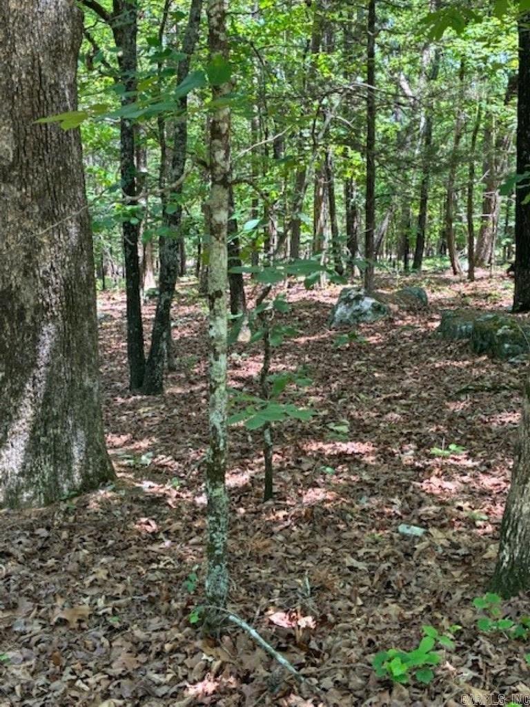 Castano (lot 12) Lane Property Photo 8