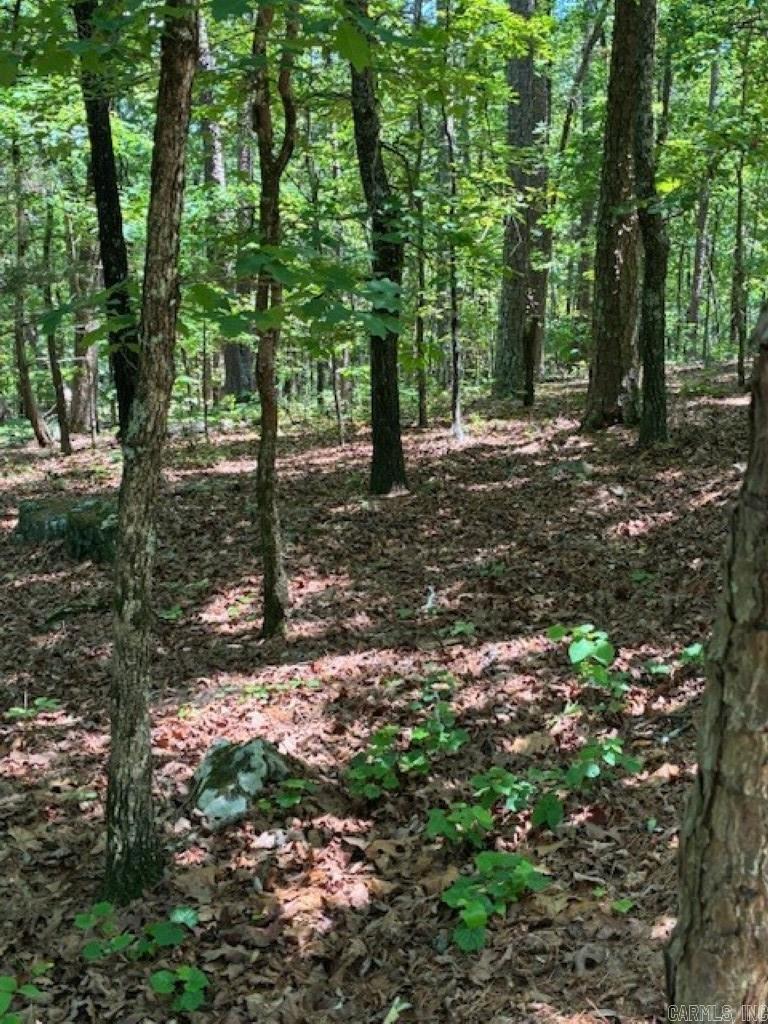 Castano (lot 12) Lane Property Photo 9