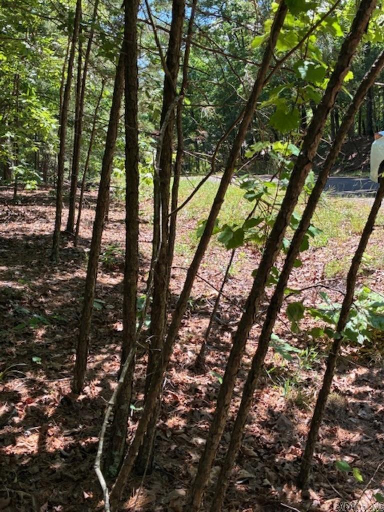 Castano (lot 12) Lane Property Photo 10