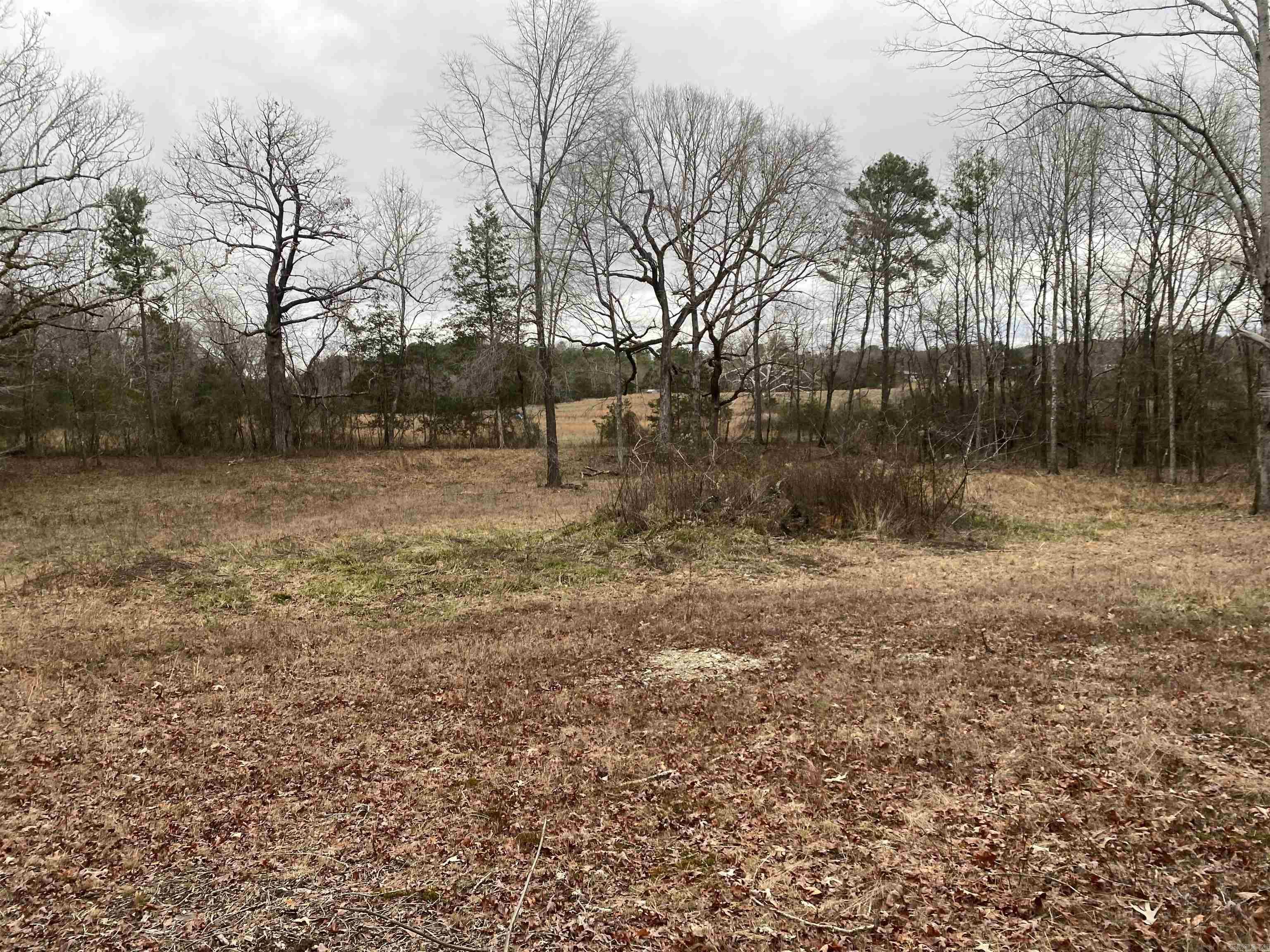 Tbd Farley Lane Property Photo 2