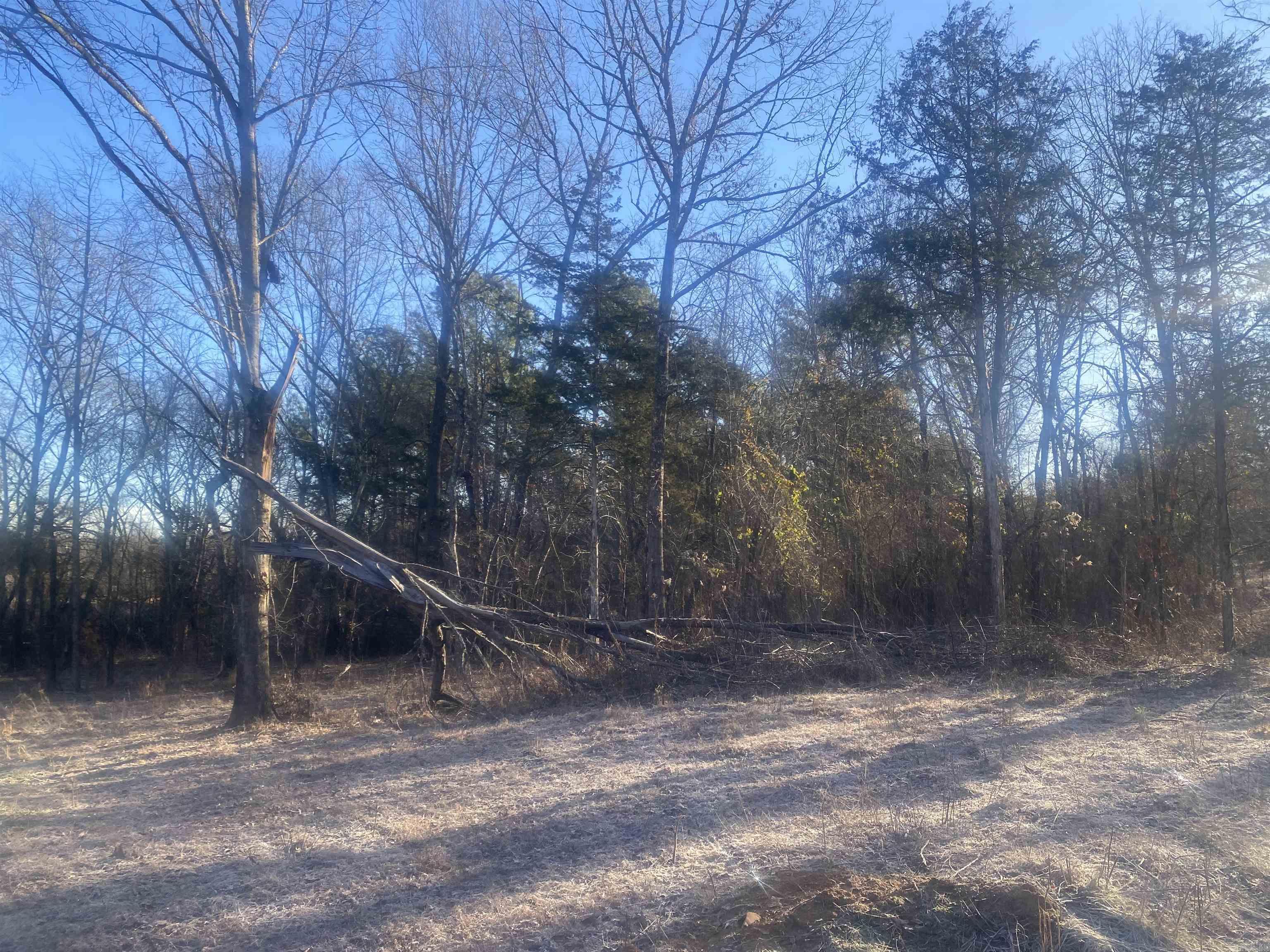 Tbd Farley Lane Property Photo 3