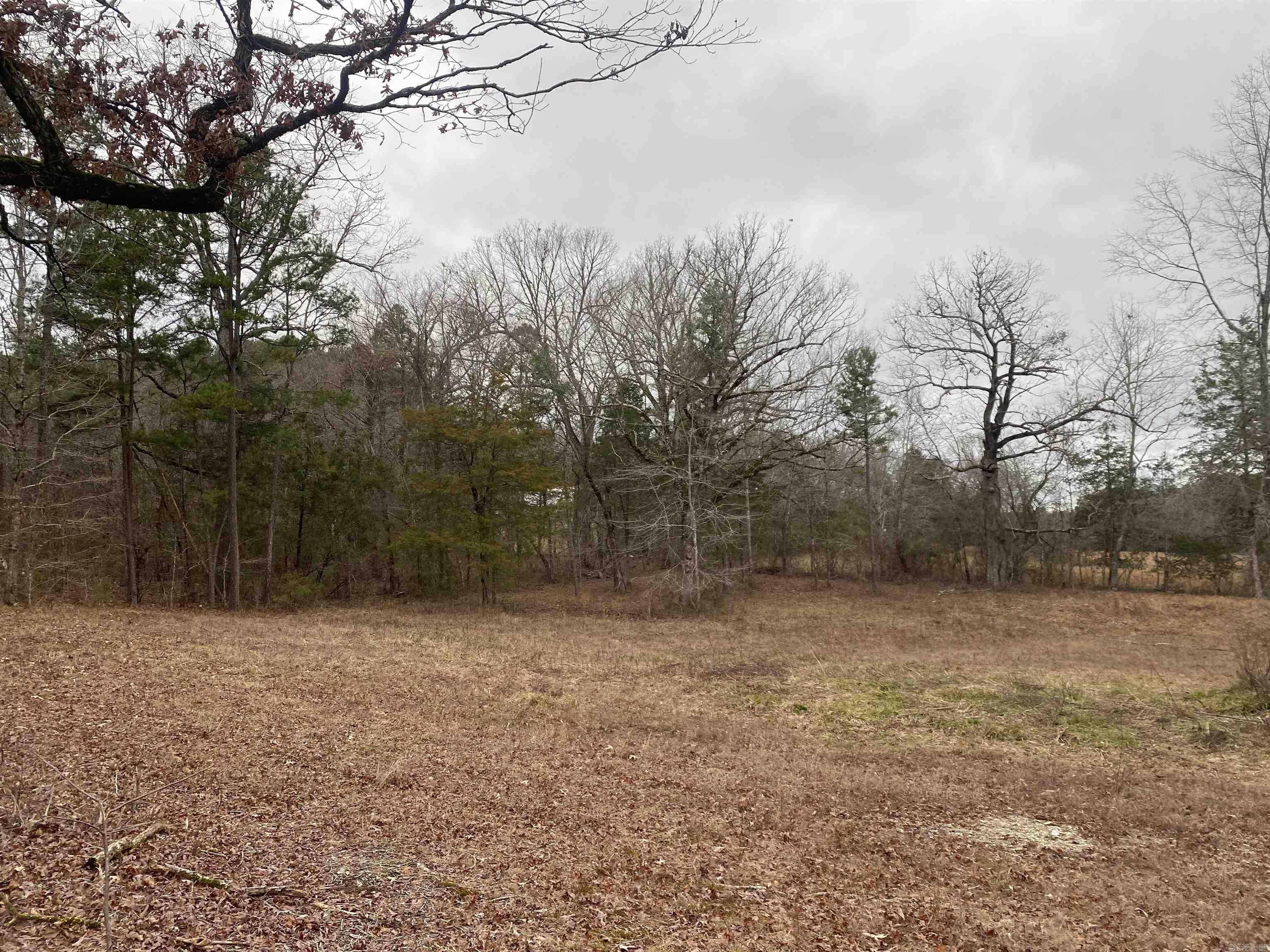 Tbd Farley Lane Property Photo 4