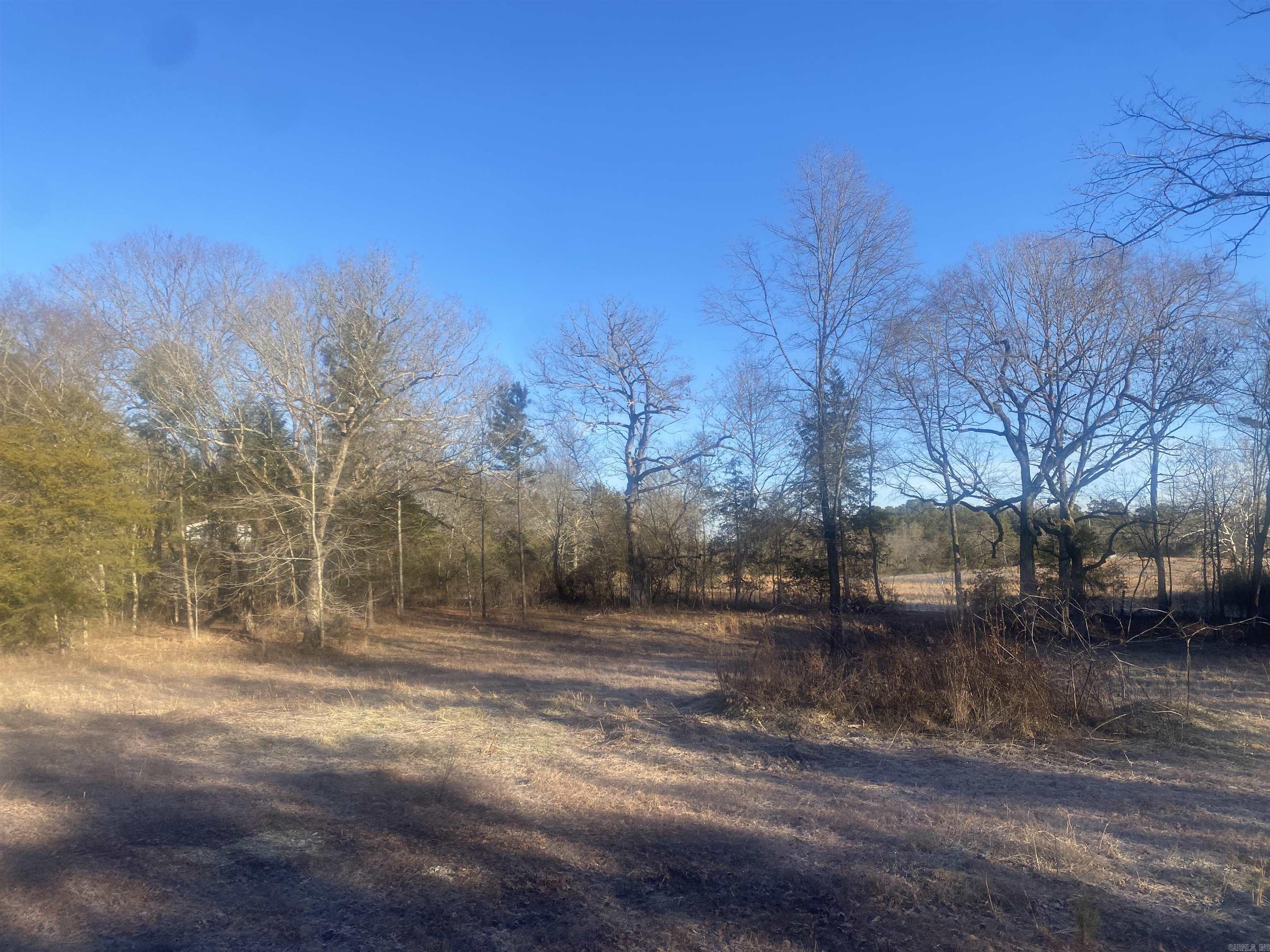 Tbd Farley Lane Property Photo 5