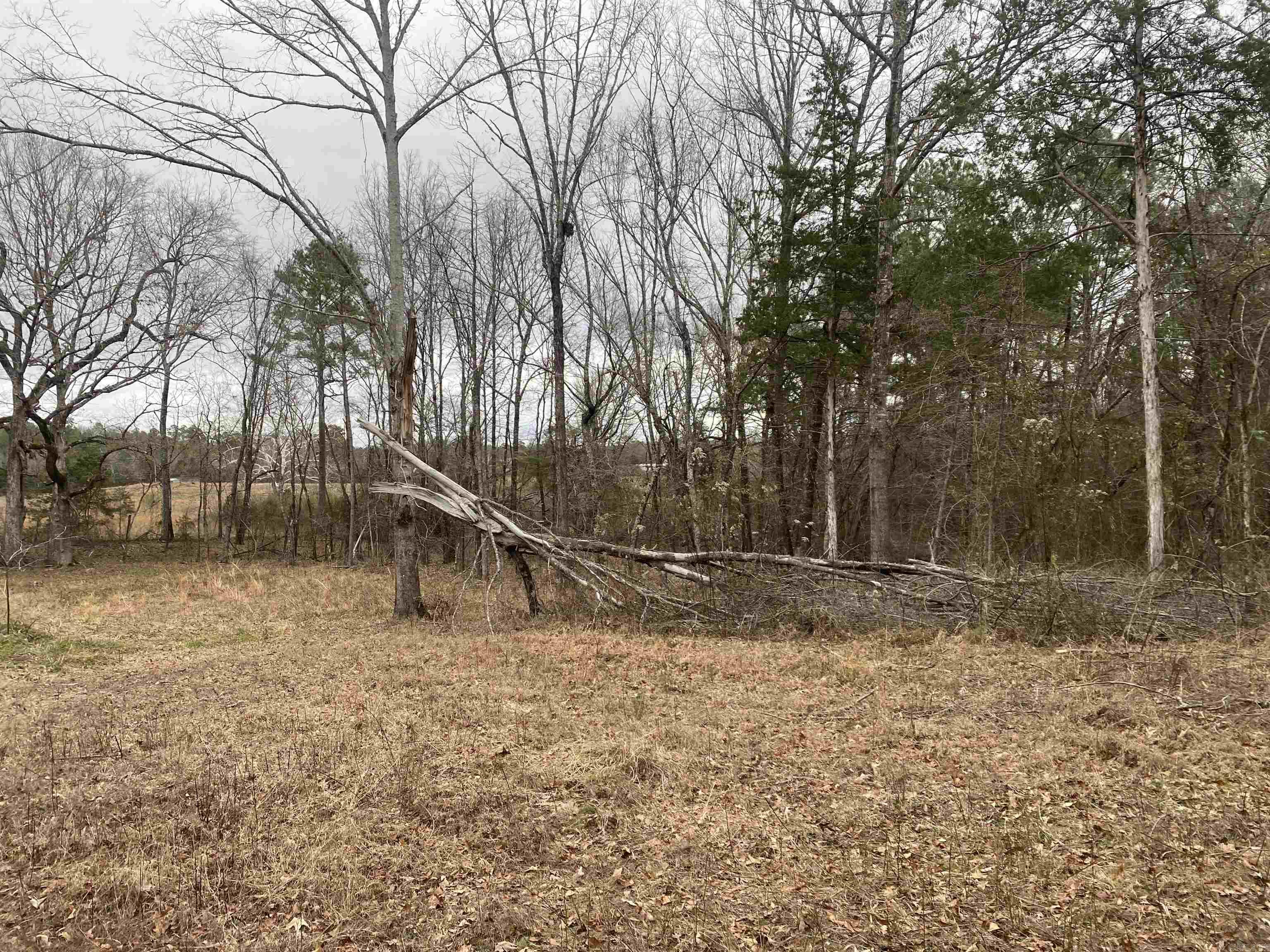 Tbd Farley Lane Property Photo 6