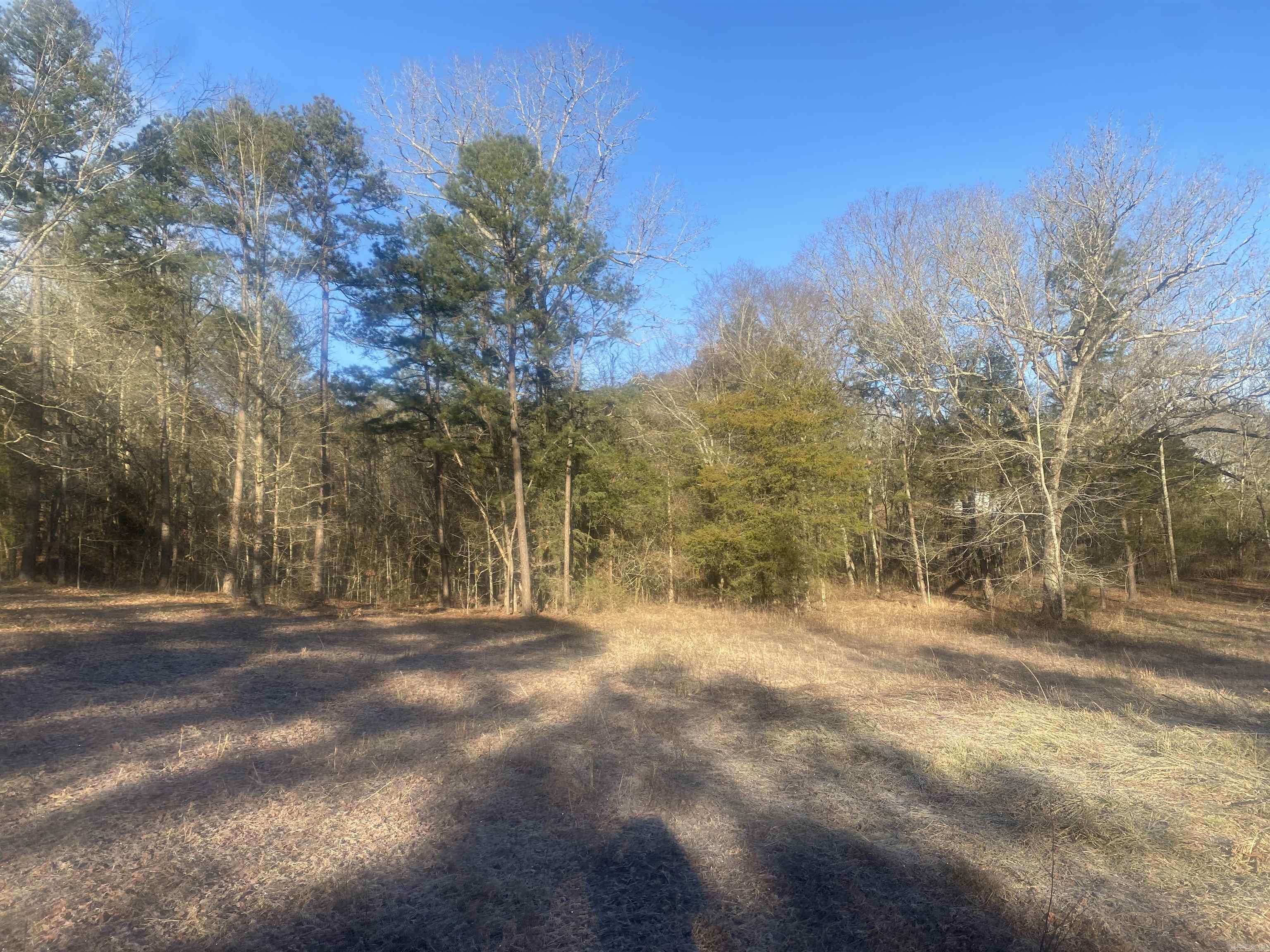 Tbd Farley Lane Property Photo 7