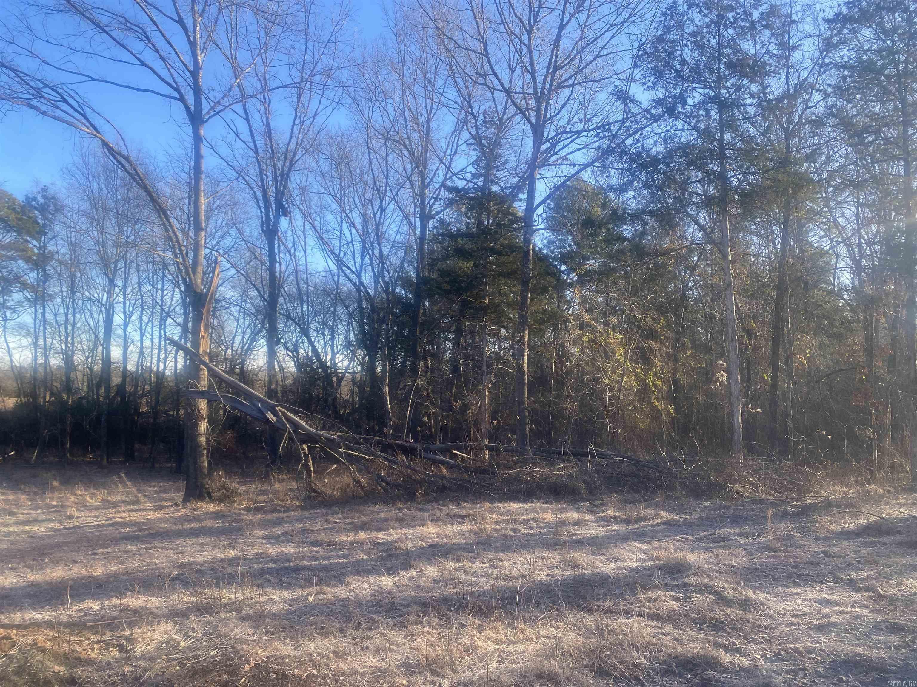 Tbd Farley Lane Property Photo 9