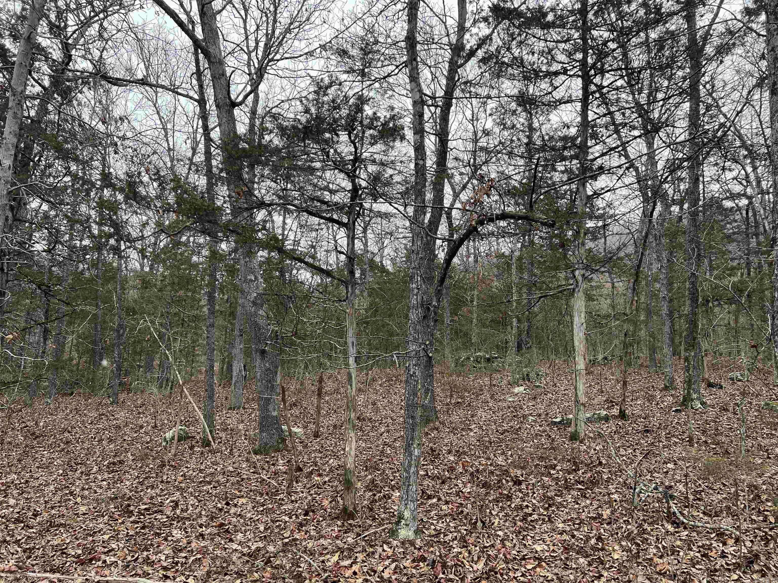 Nc 8355 Property Photo 1