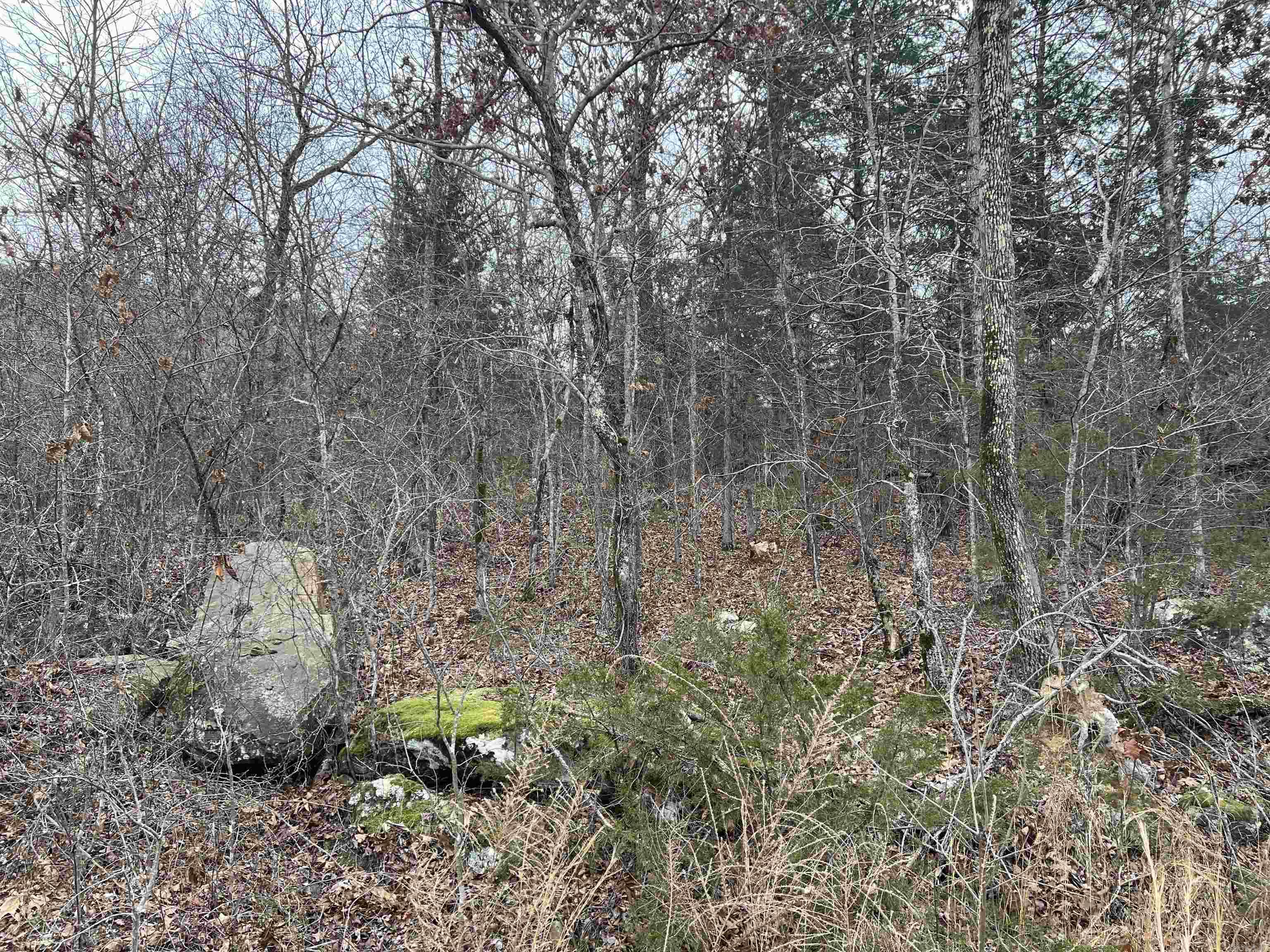 Nc 8355 Property Photo 3