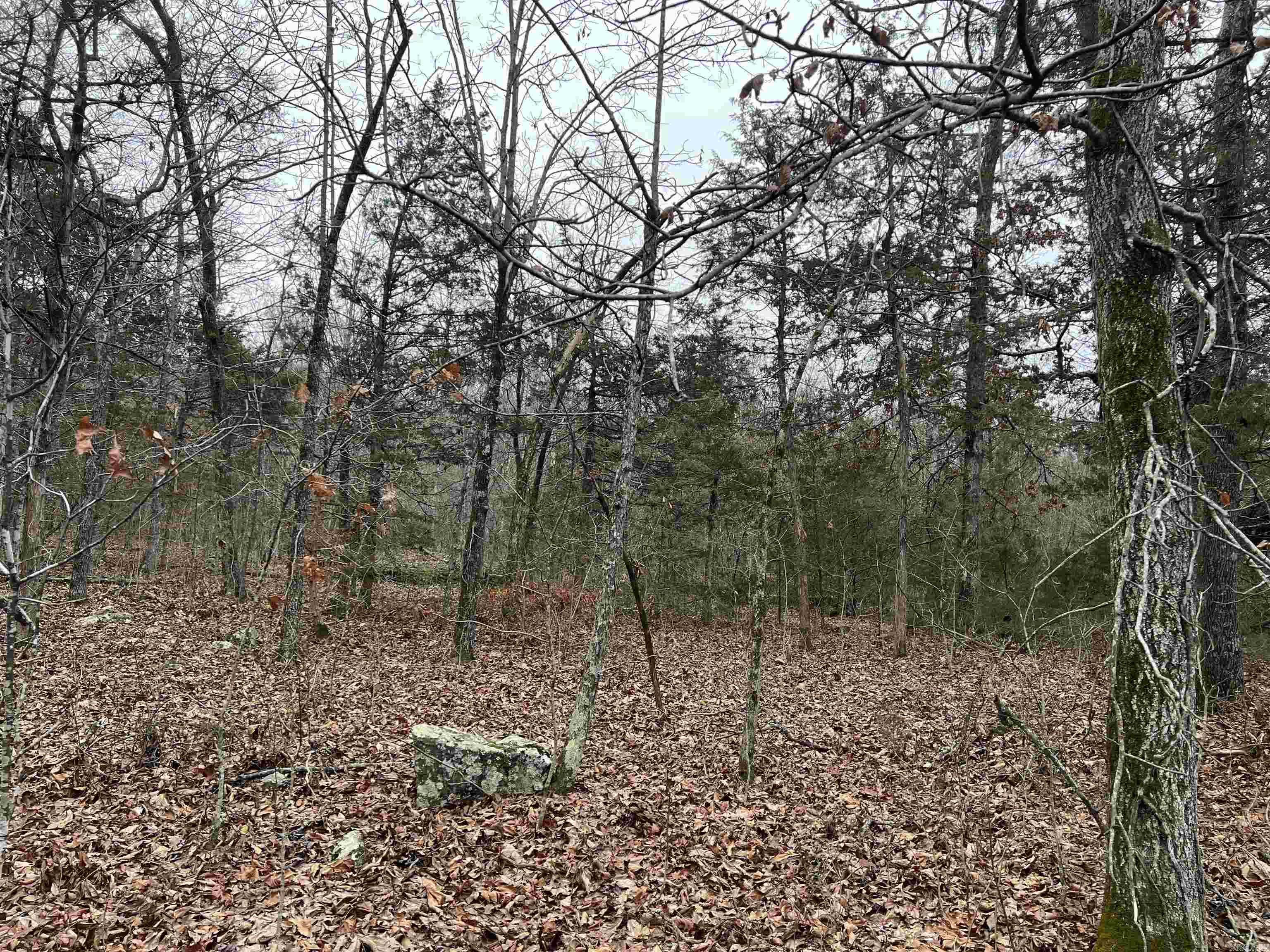 Nc 8355 Property Photo 4