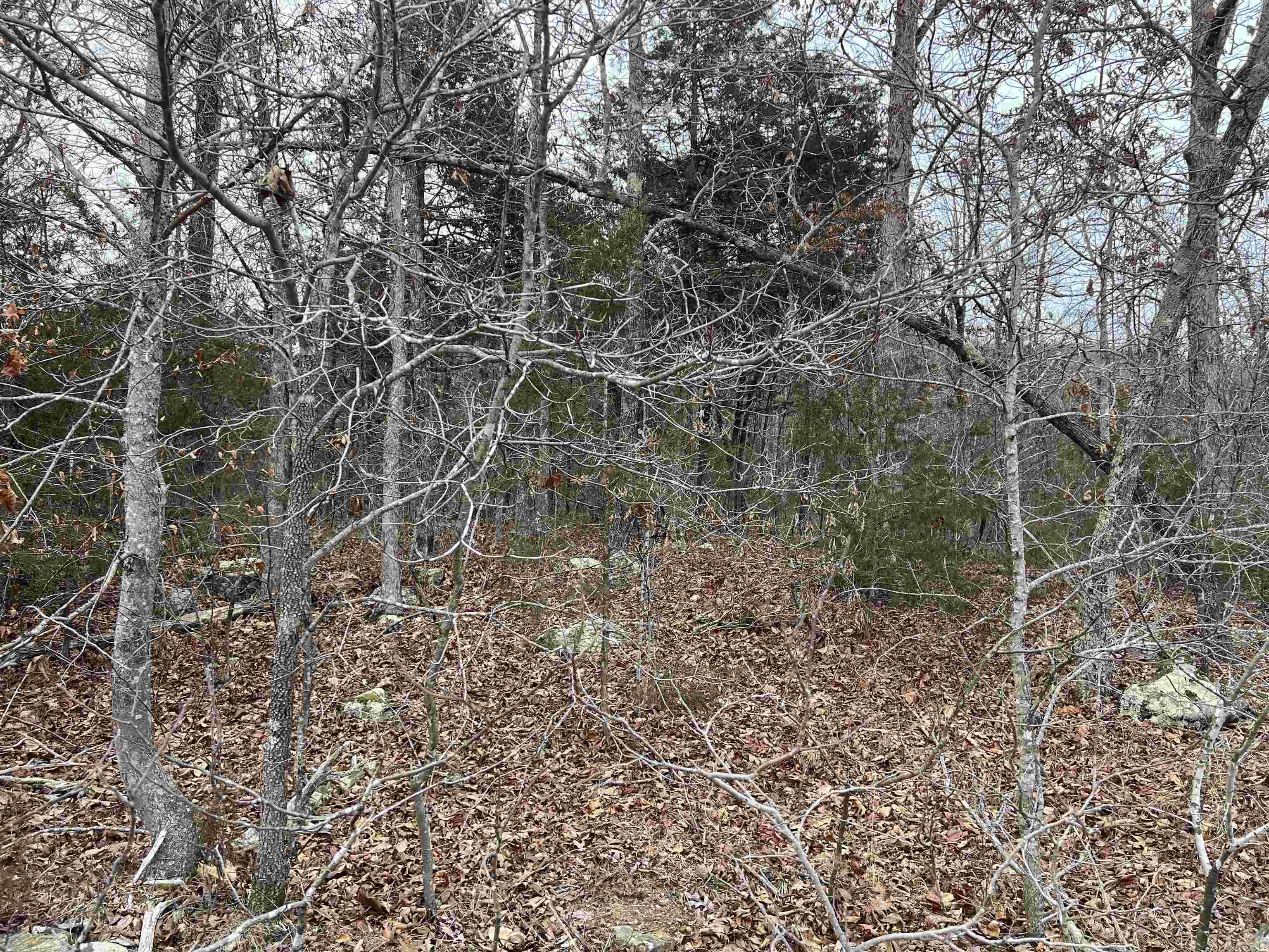 Nc 8355 Property Photo 5
