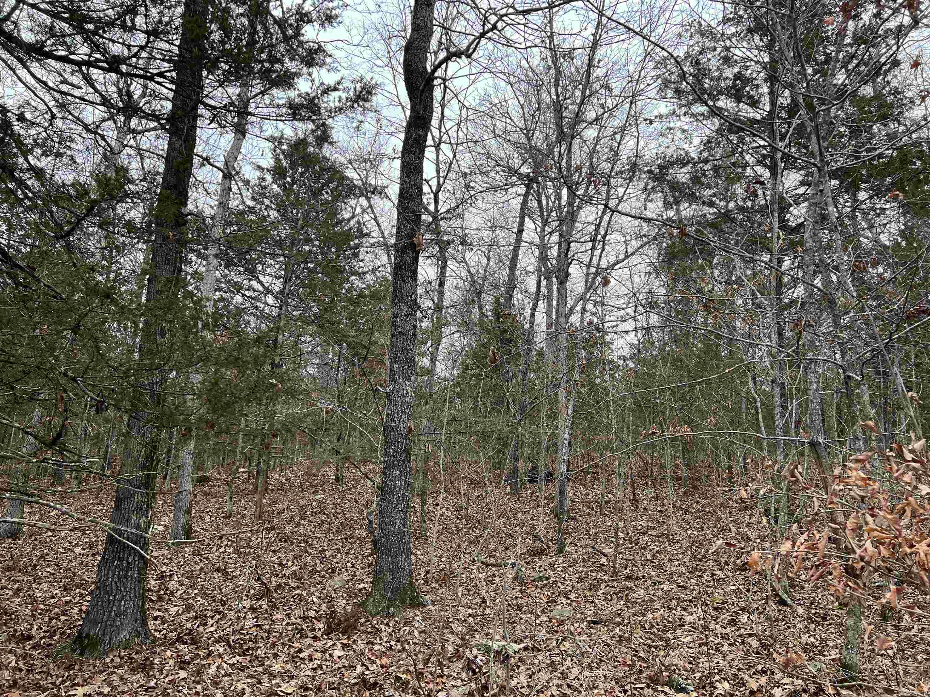 Nc 8355 Property Photo 6