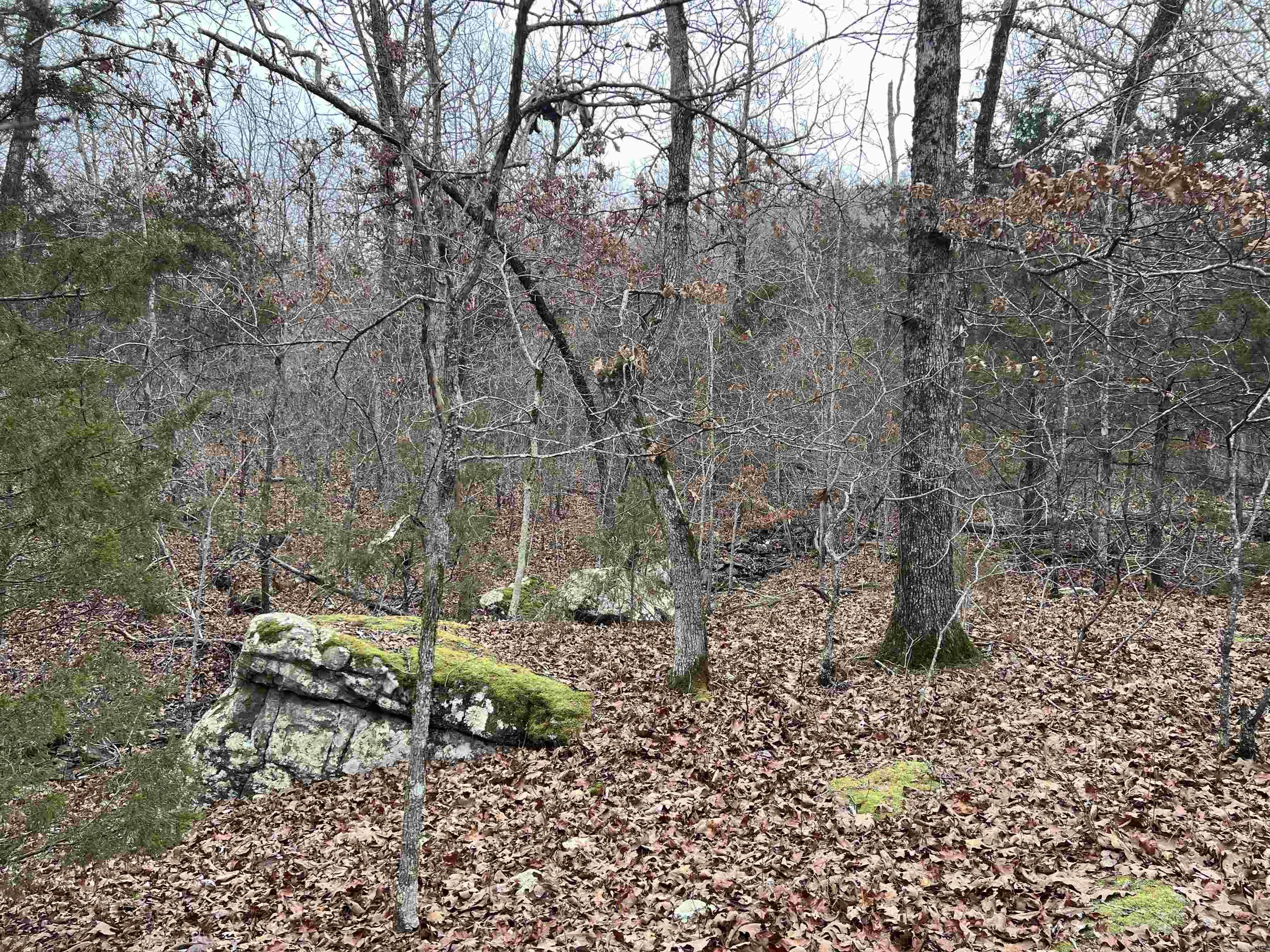 Nc 8355 Property Photo 7