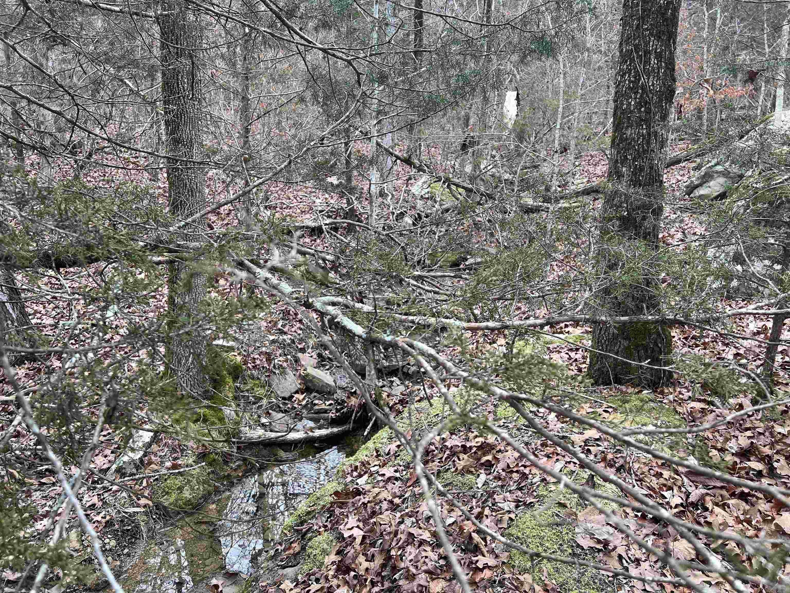 Nc 8355 Property Photo 8