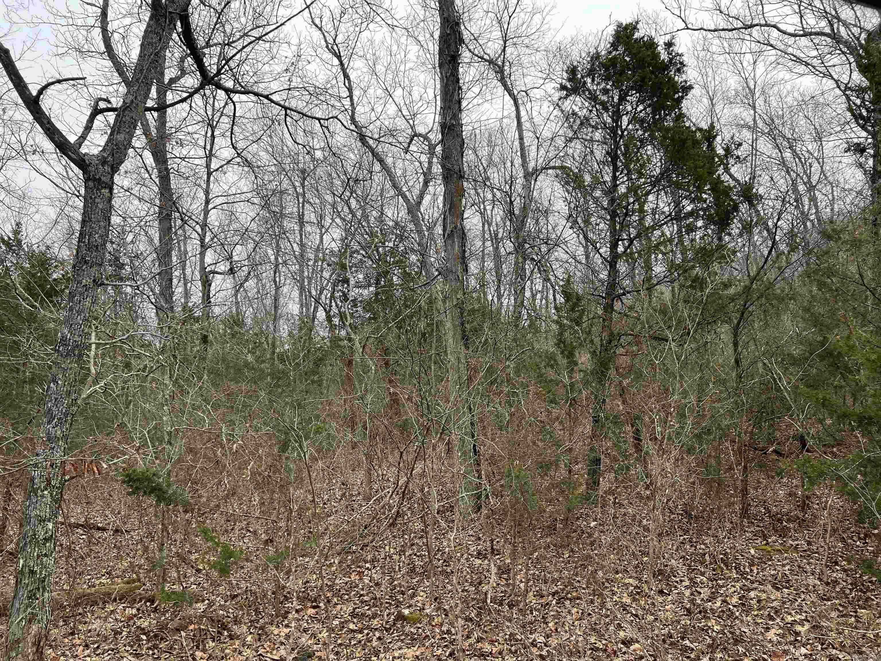 Nc 8355 Property Photo 9