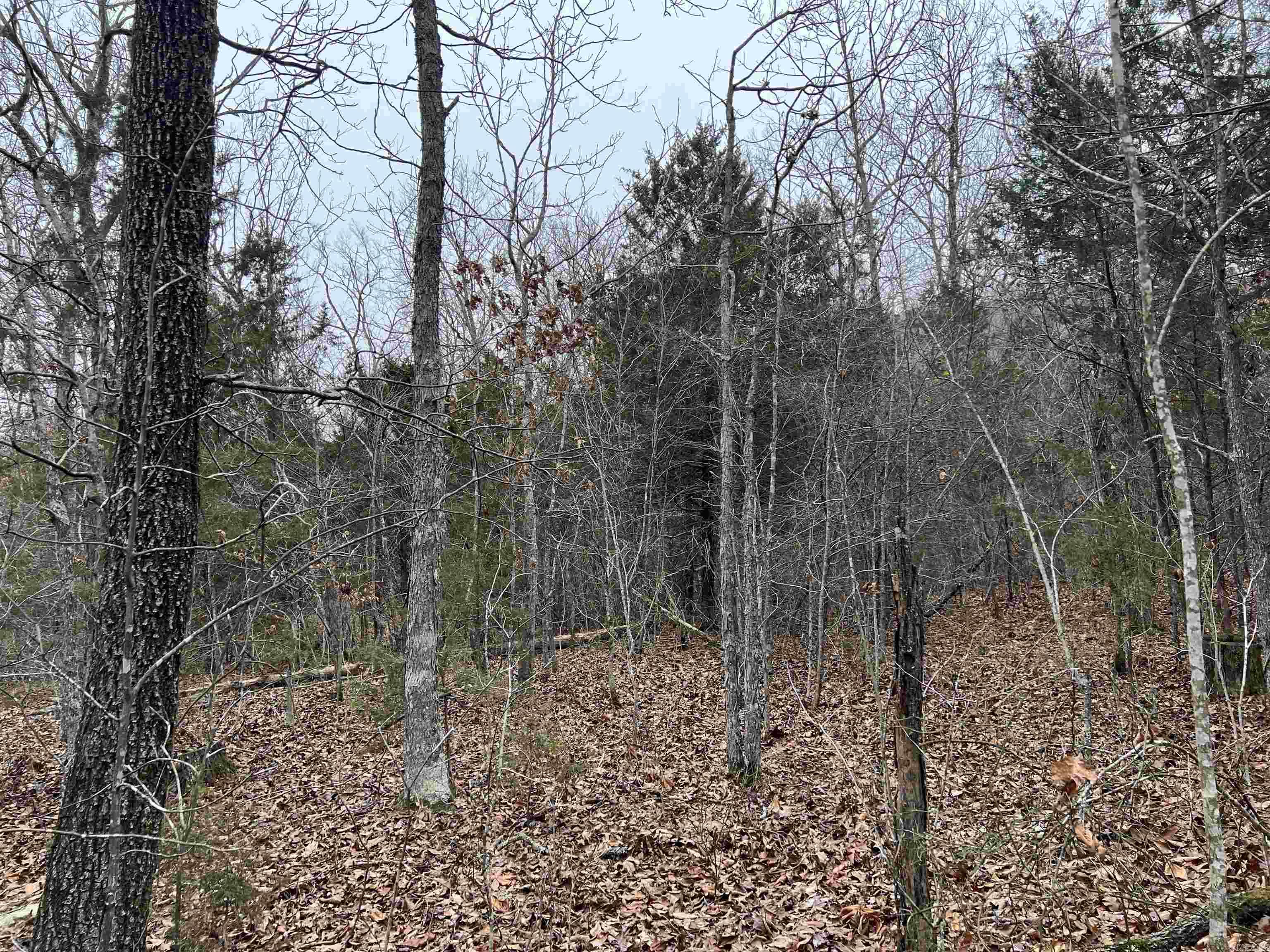 Nc 8355 Property Photo 10