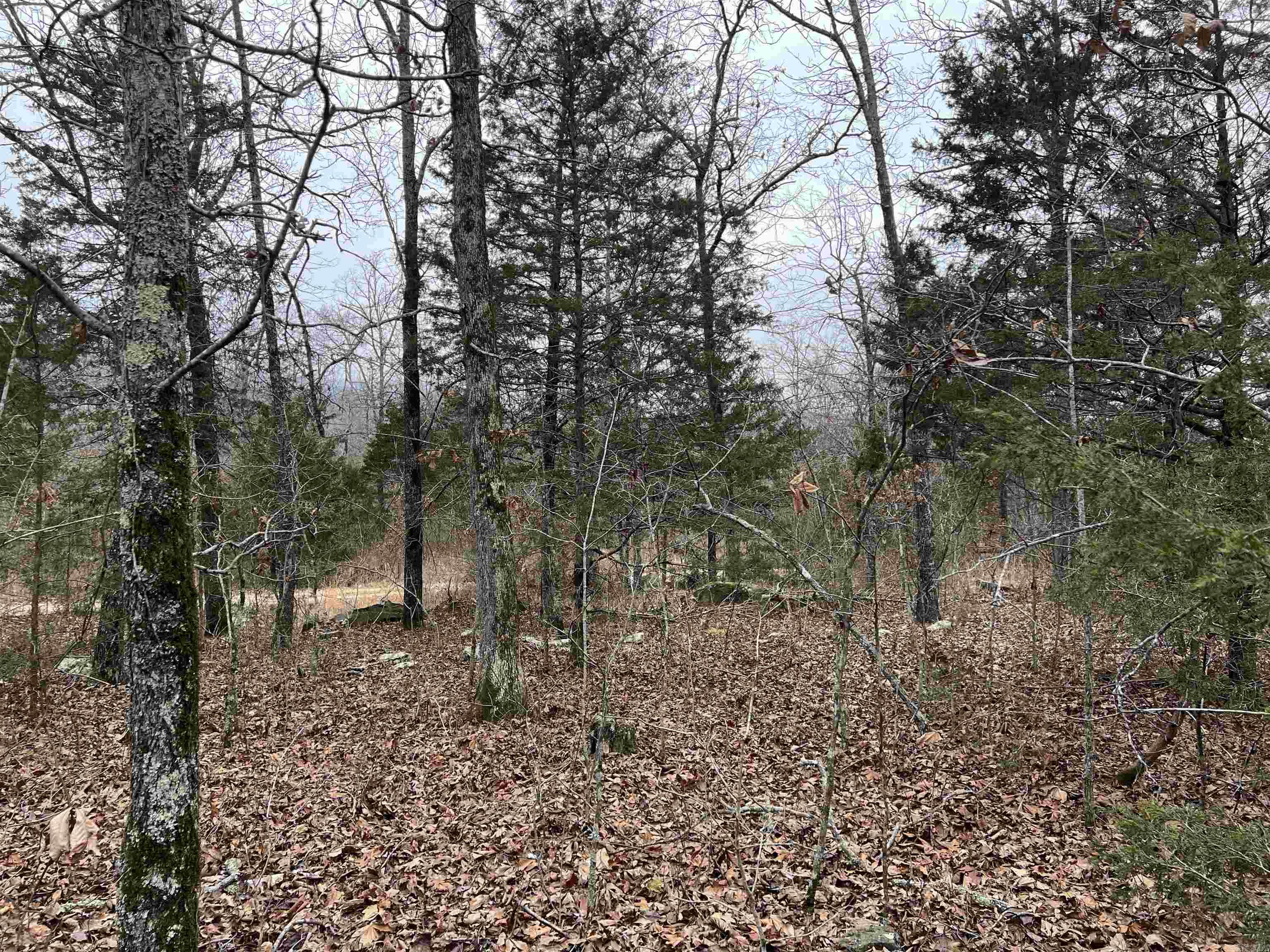 Nc 8355 Property Photo 12