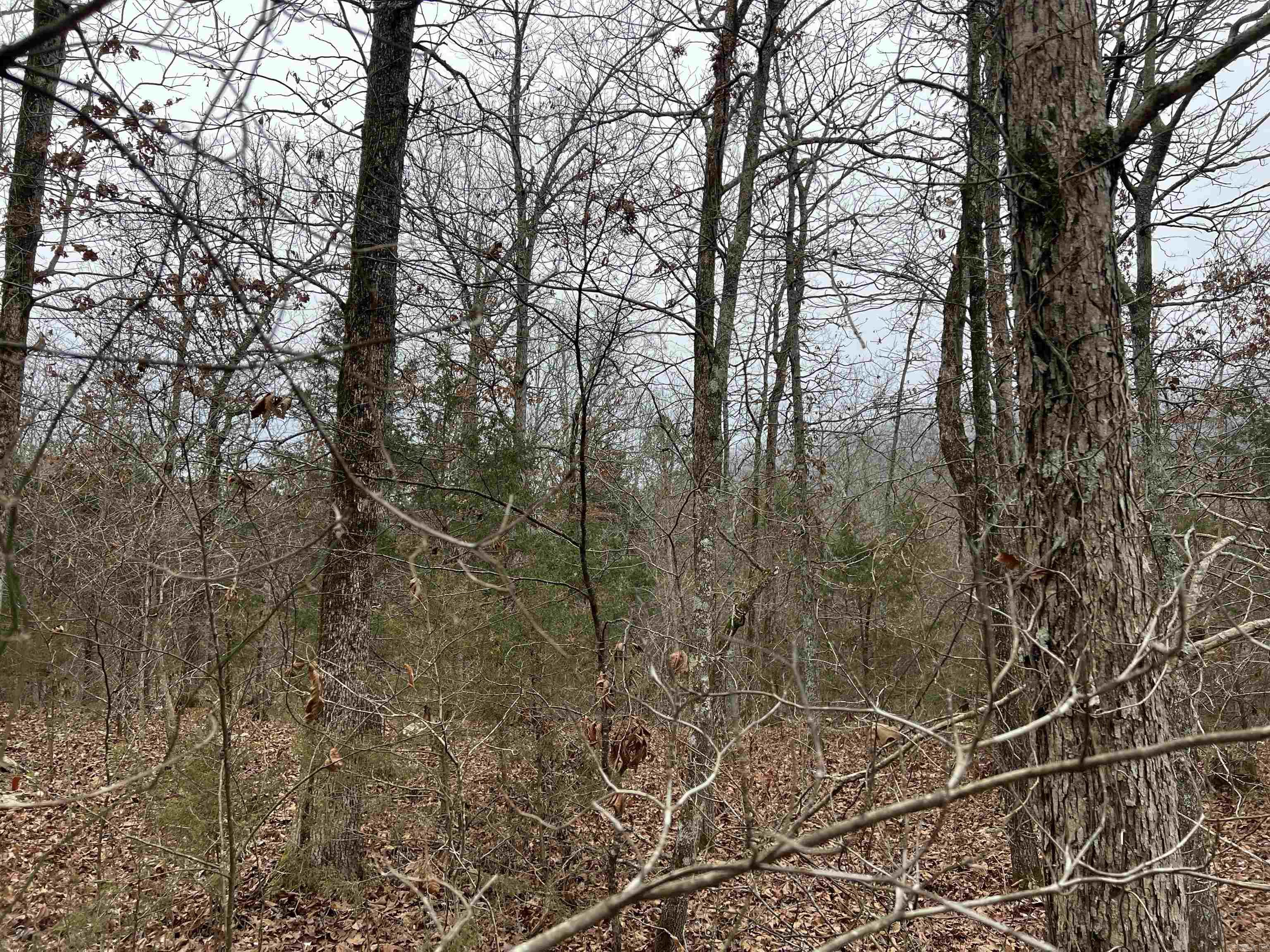 Nc 8355 Property Photo 13