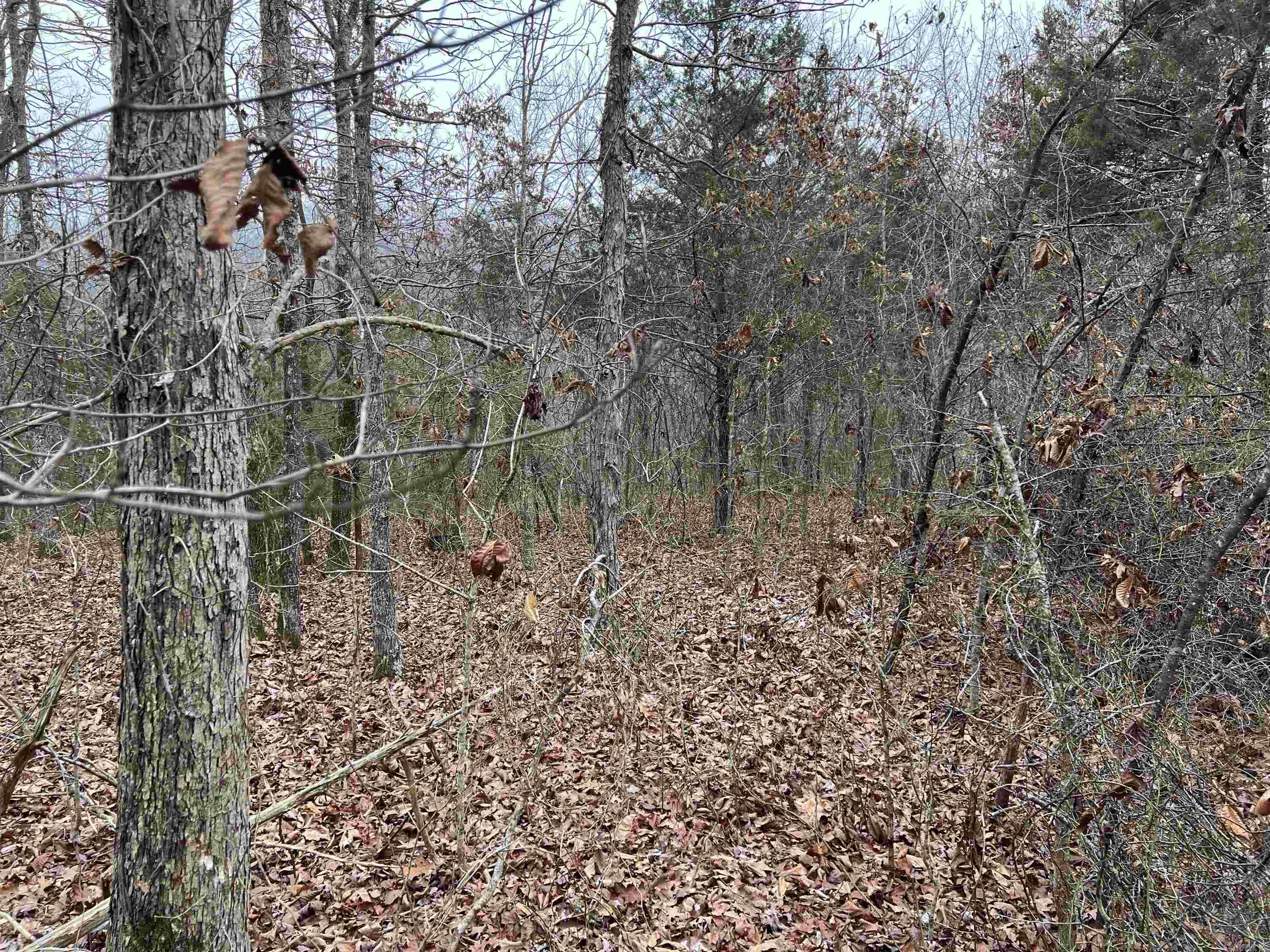 Nc 8355 Property Photo 14