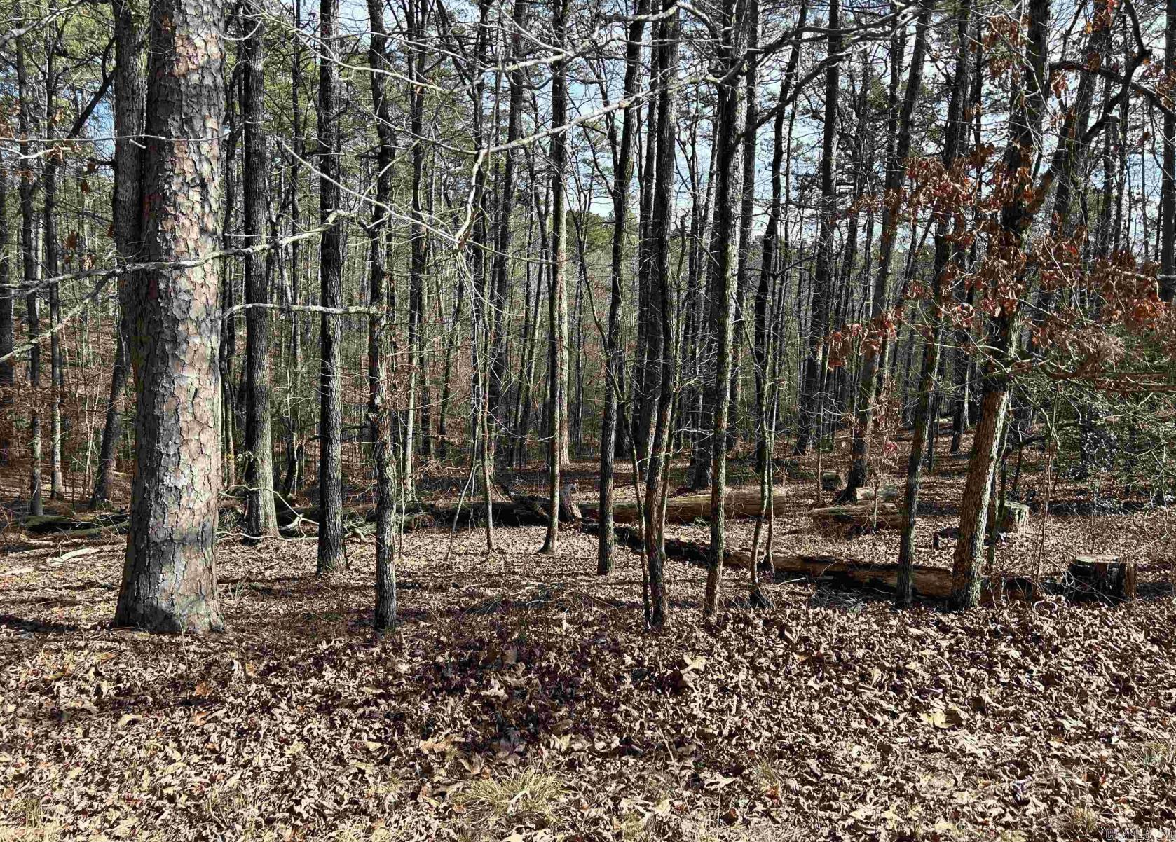 TBD La Janda Circle Property Photo 1