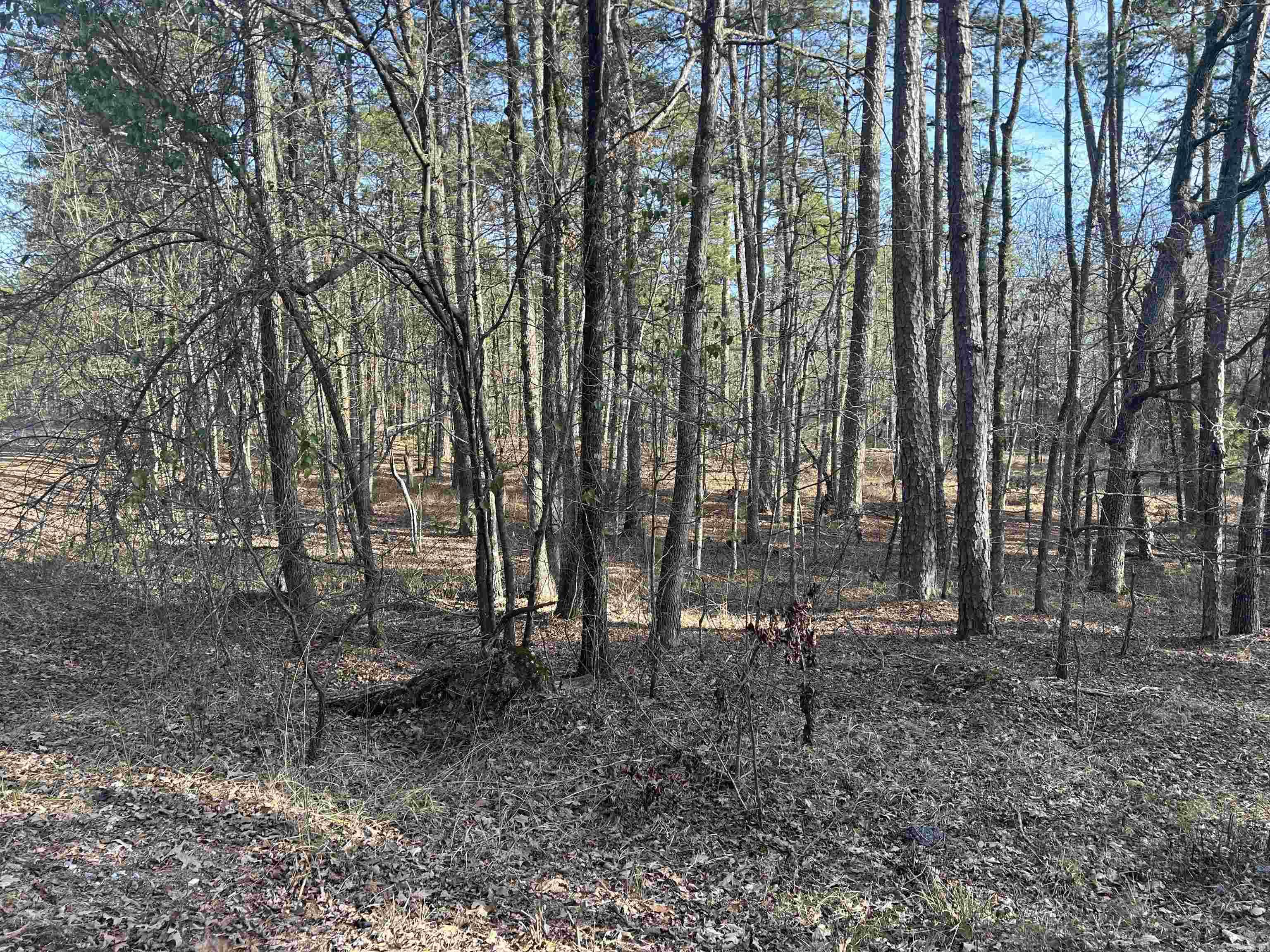 Tbd La Janda Circle Property Photo 3