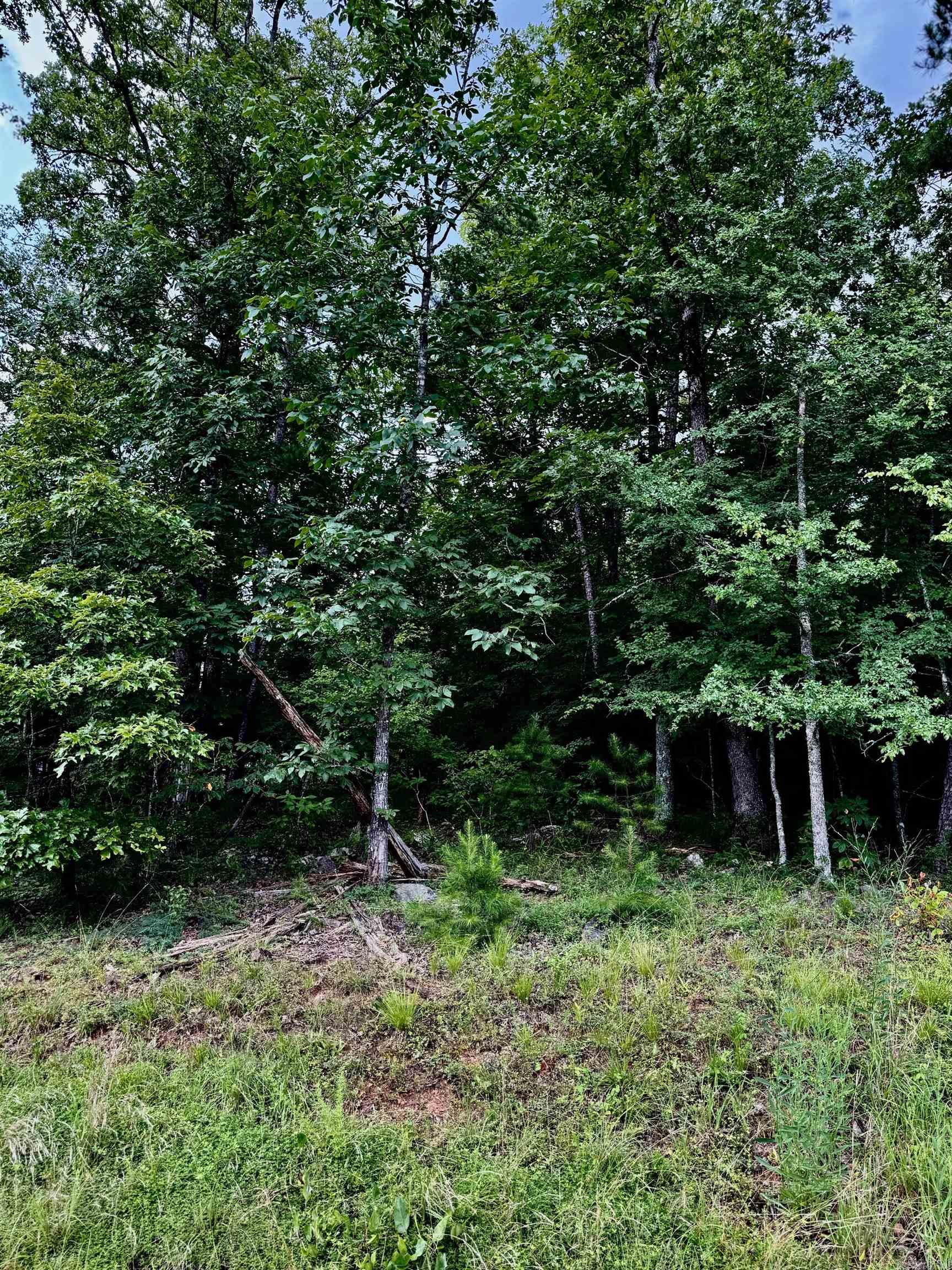 Lot 34 Primrose Creek Property Photo 1