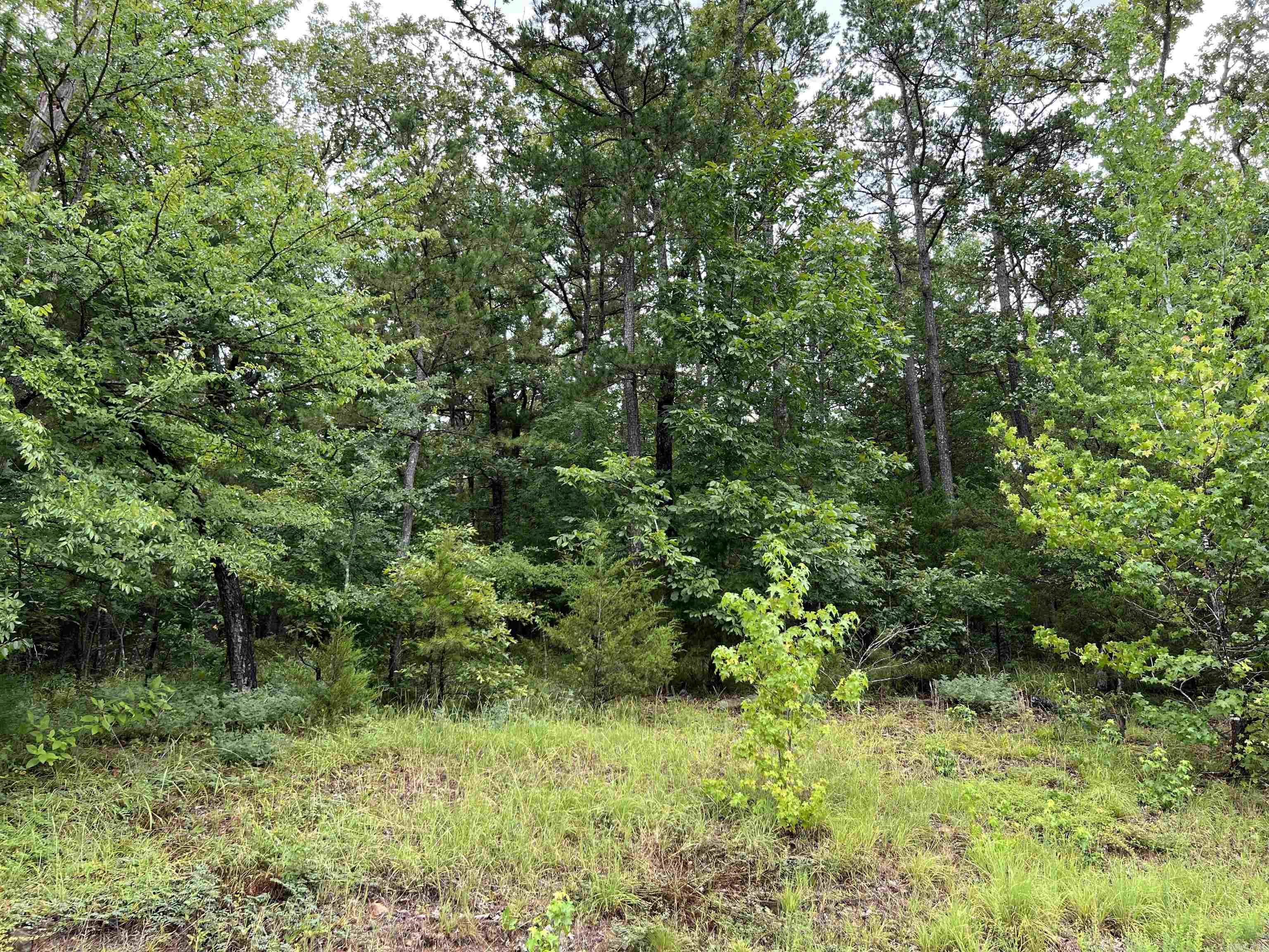 Lot 34 Primrose Creek Property Photo 6