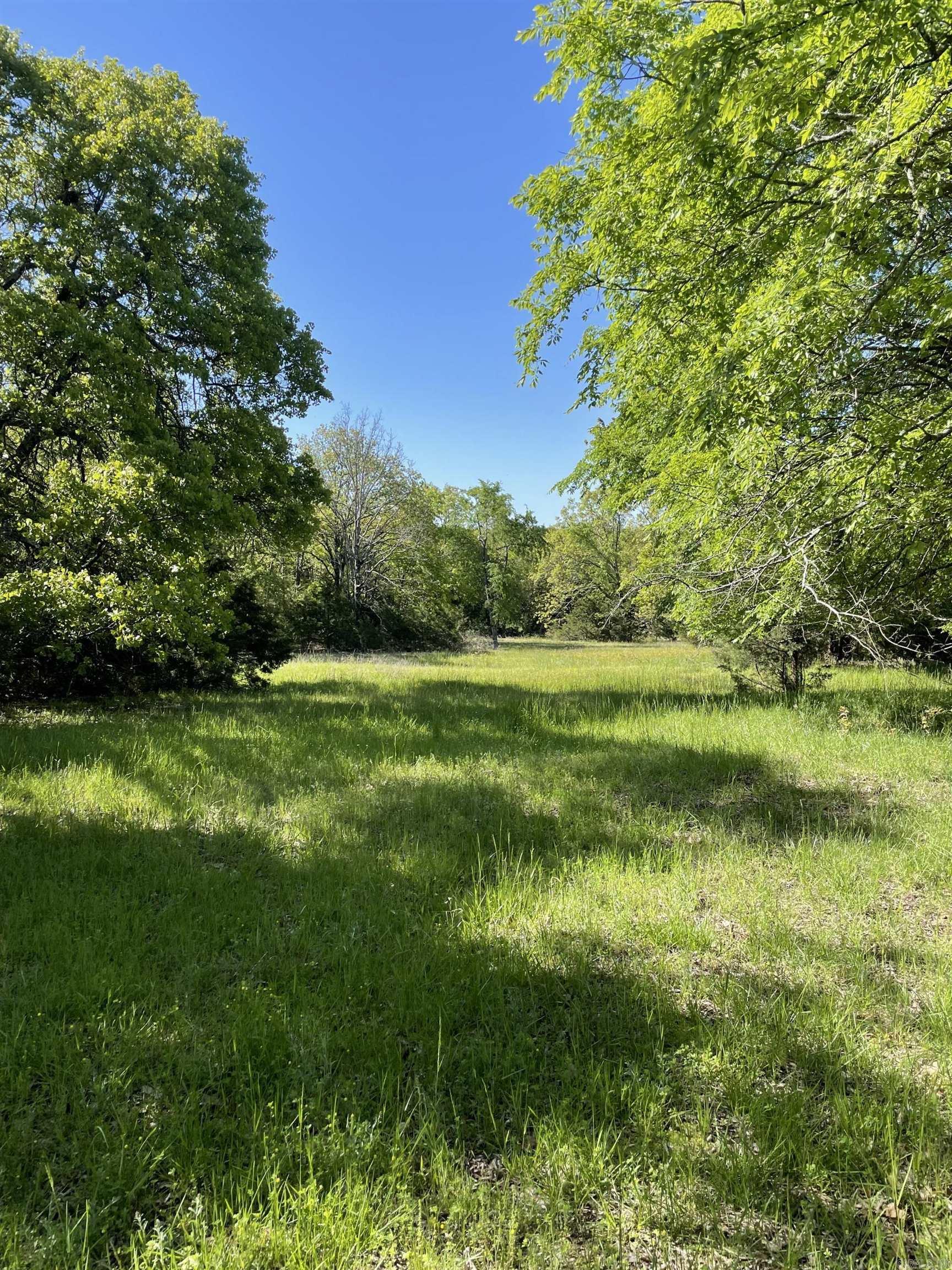 Hwy 354 Property Photo 5