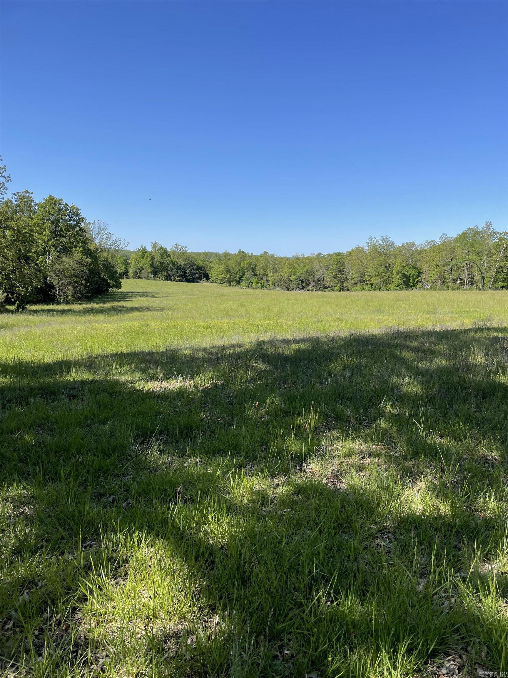 Hwy 354 Property Photo 6