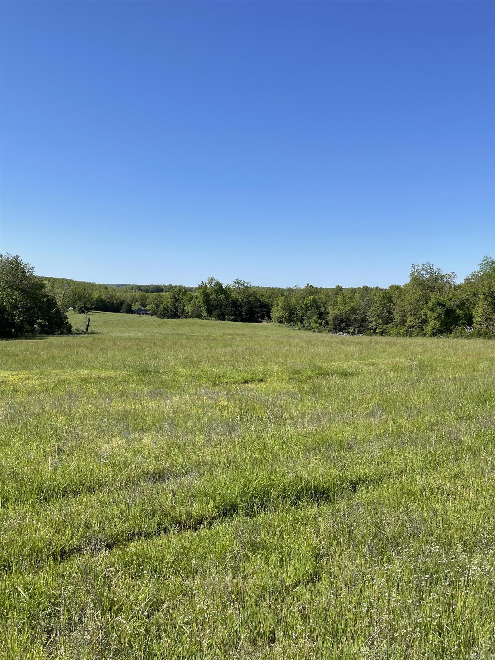 Hwy 354 Property Photo 8