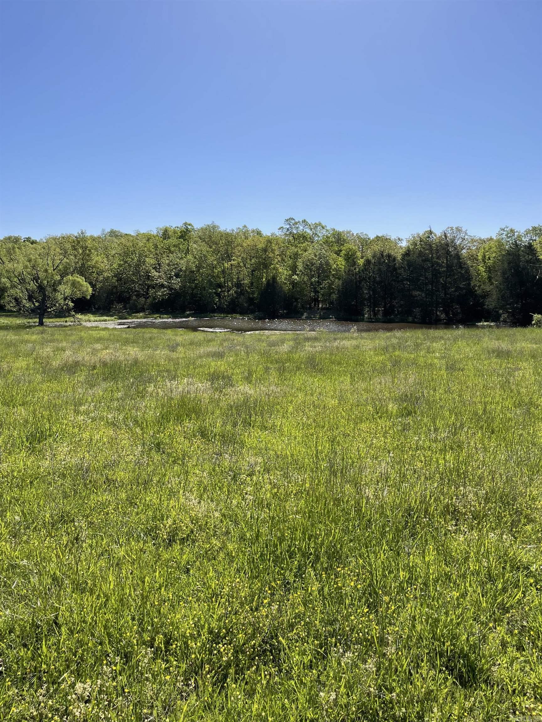 Hwy 354 Property Photo 9