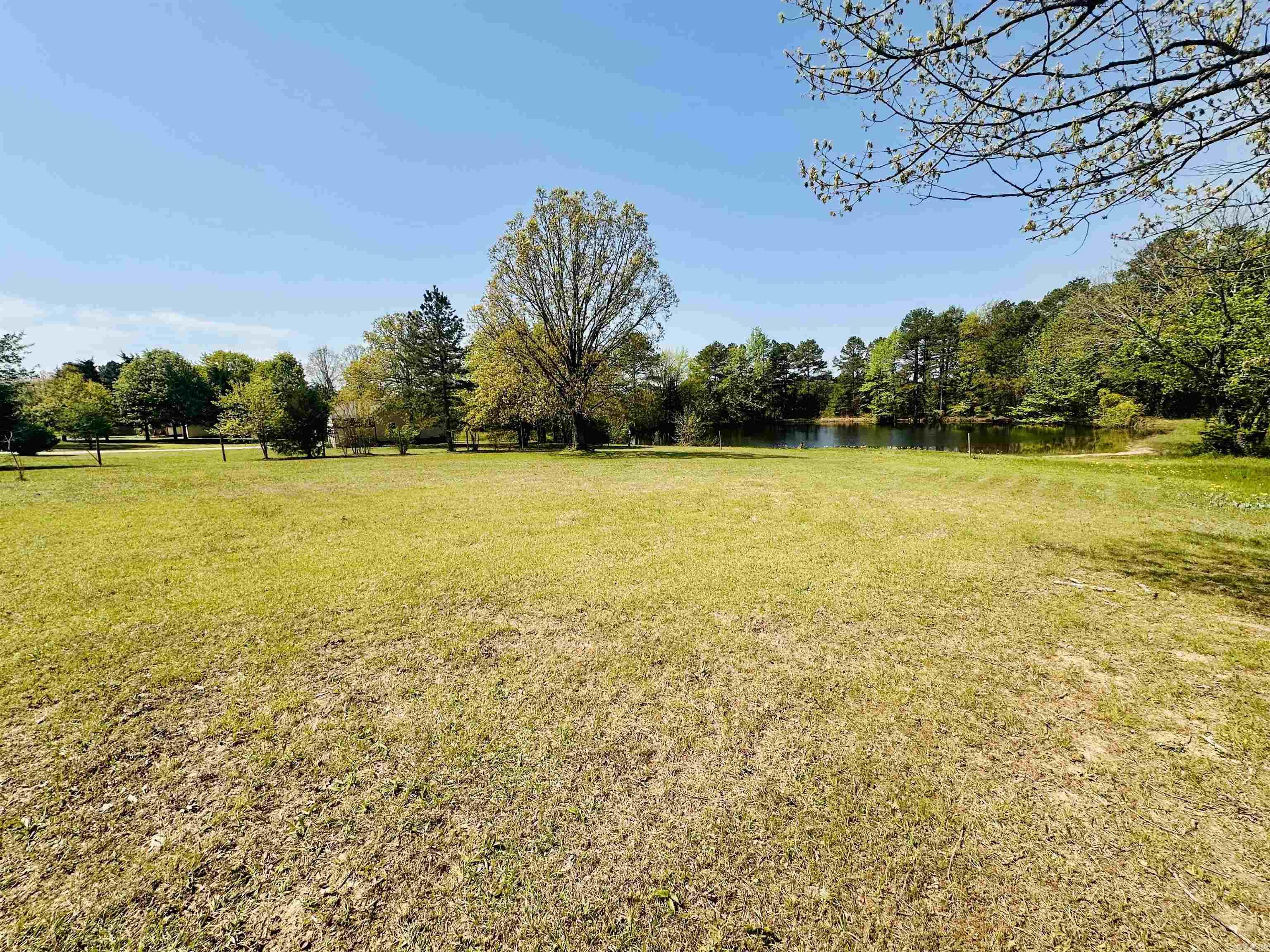 Zebulun Drive Property Photo 1