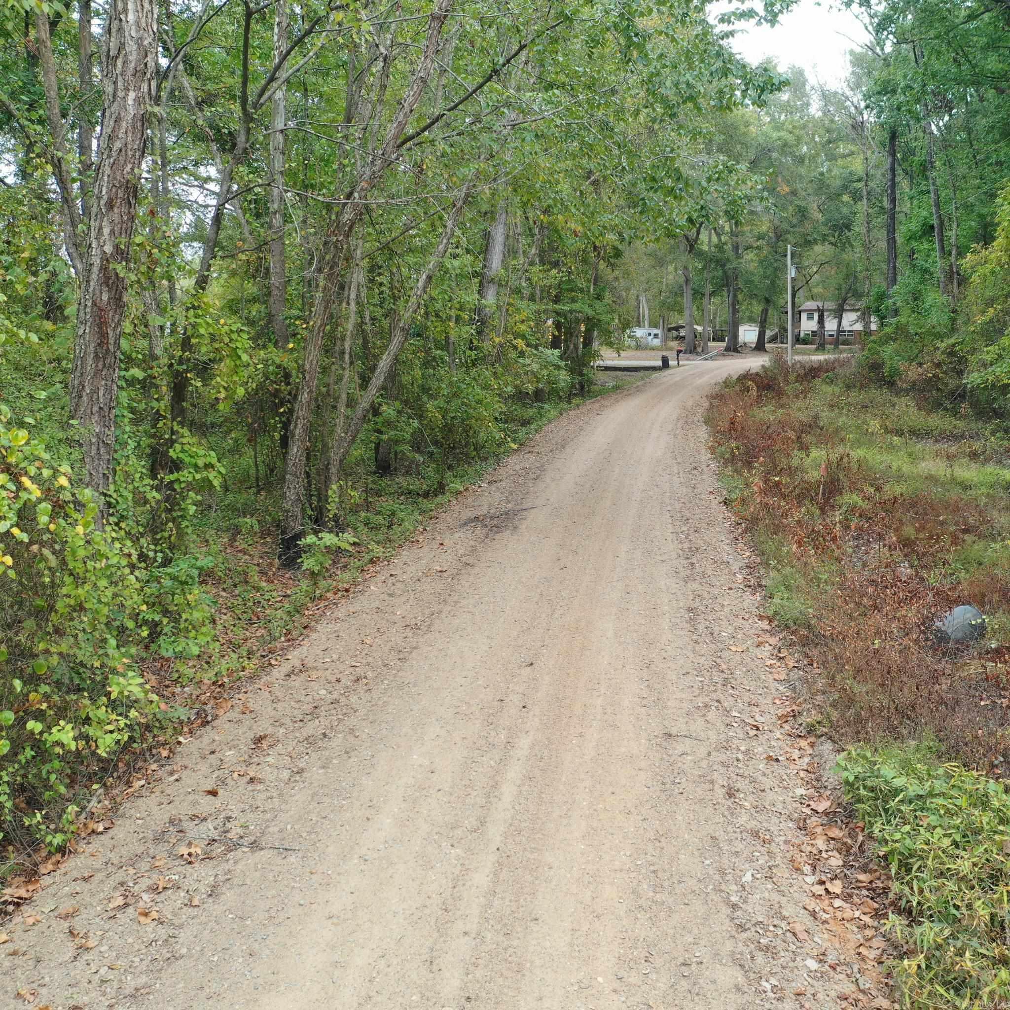Lower Maddox Bay Rd. Property Photo 7