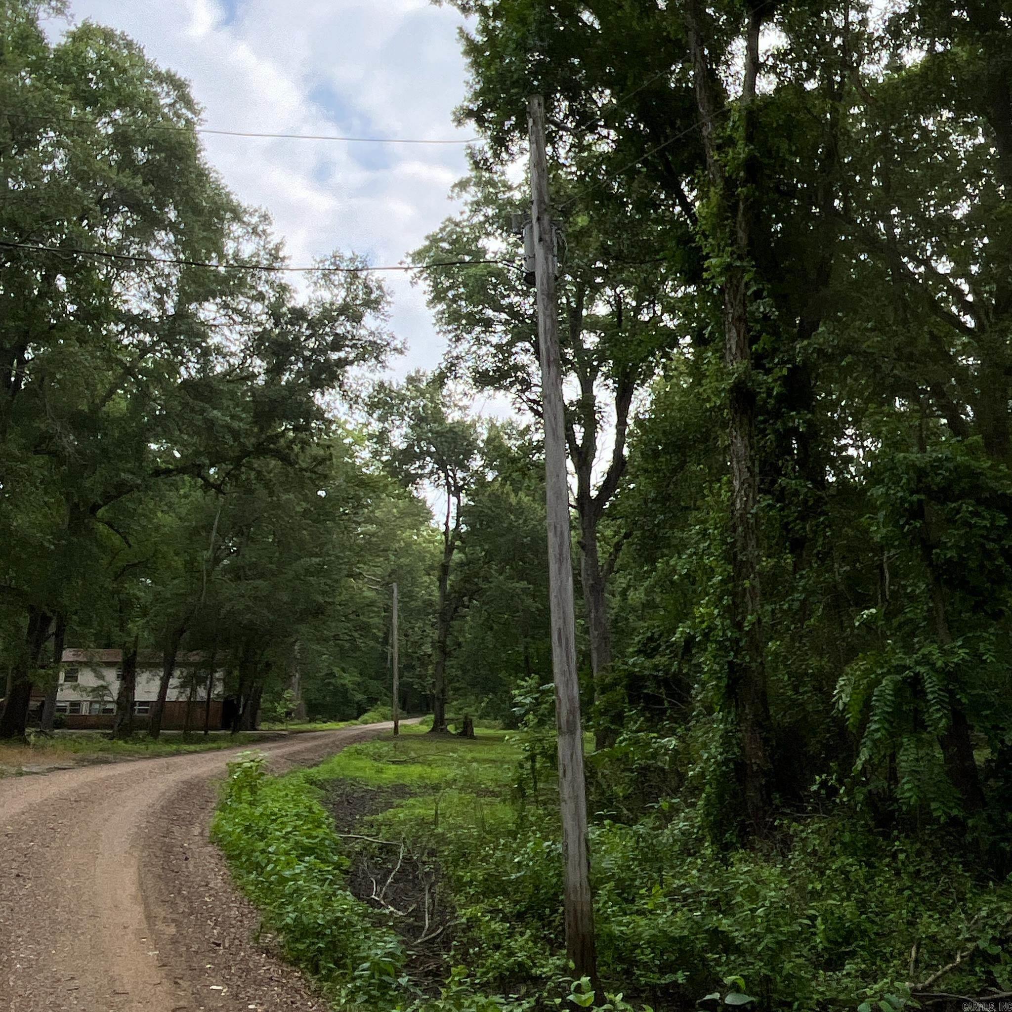 Lower Maddox Bay Rd. Property Photo 11