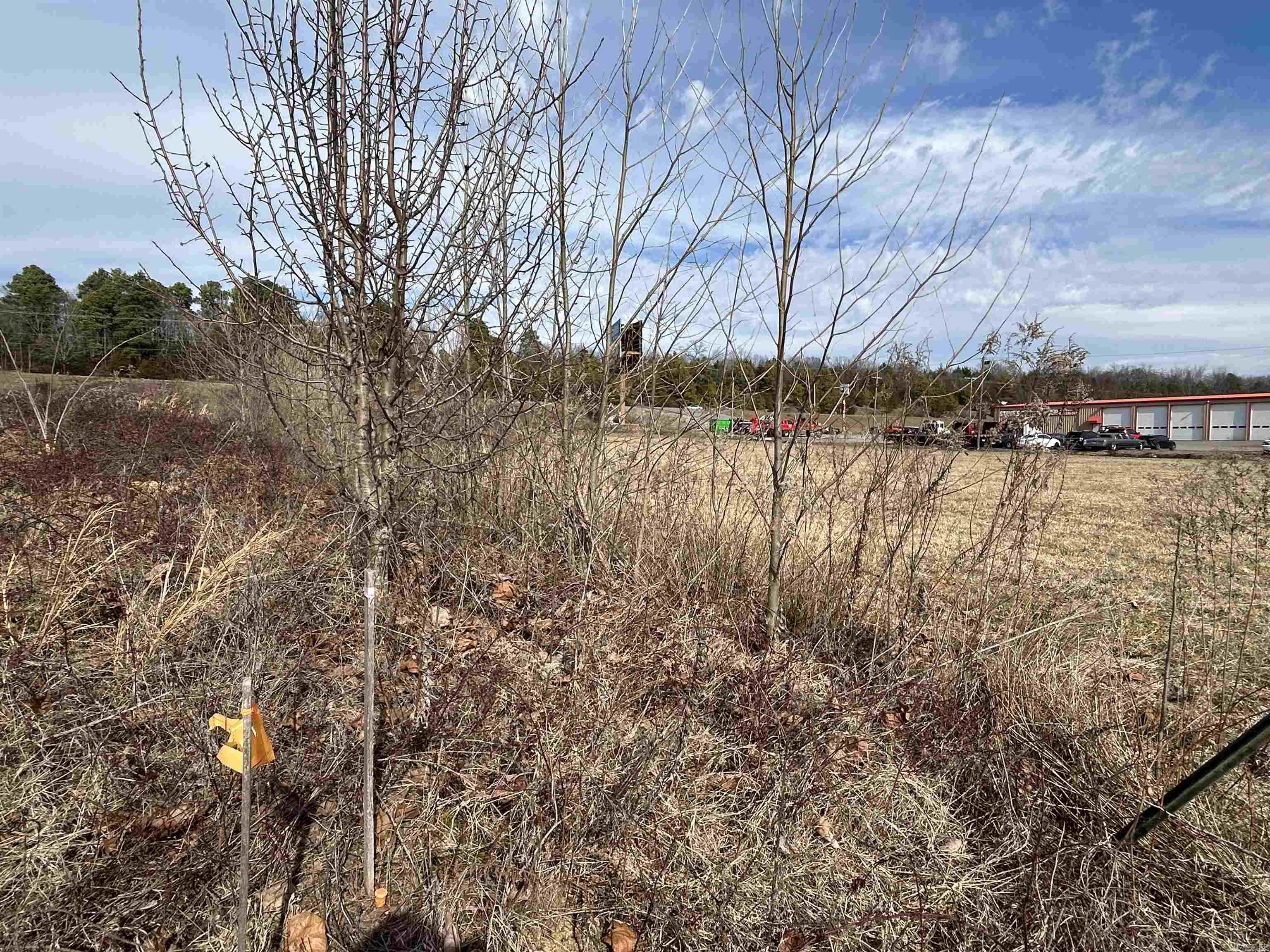 278 C Highway 64 E Property Photo 12