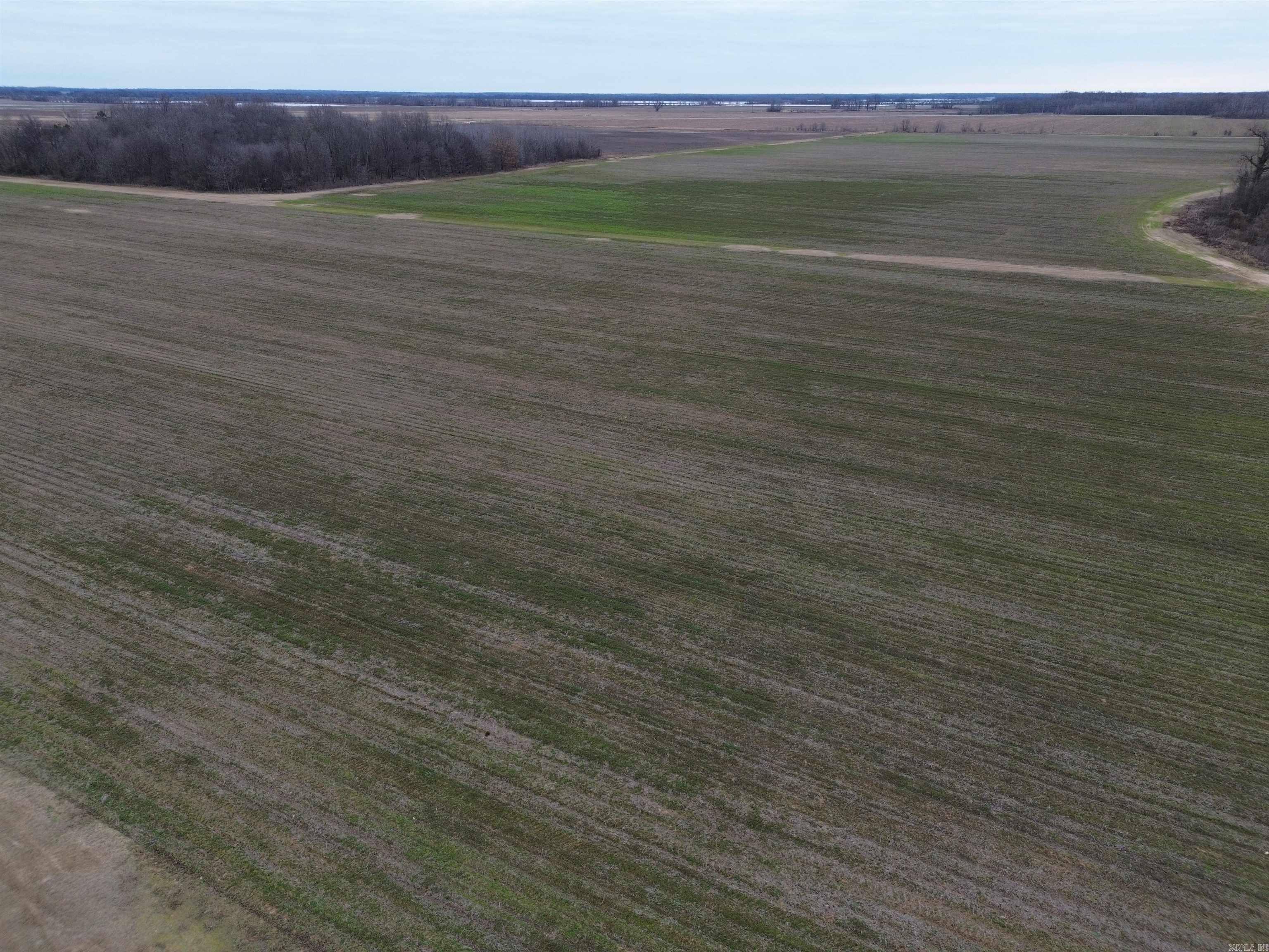 6000 Hwy 425 Property Photo 1