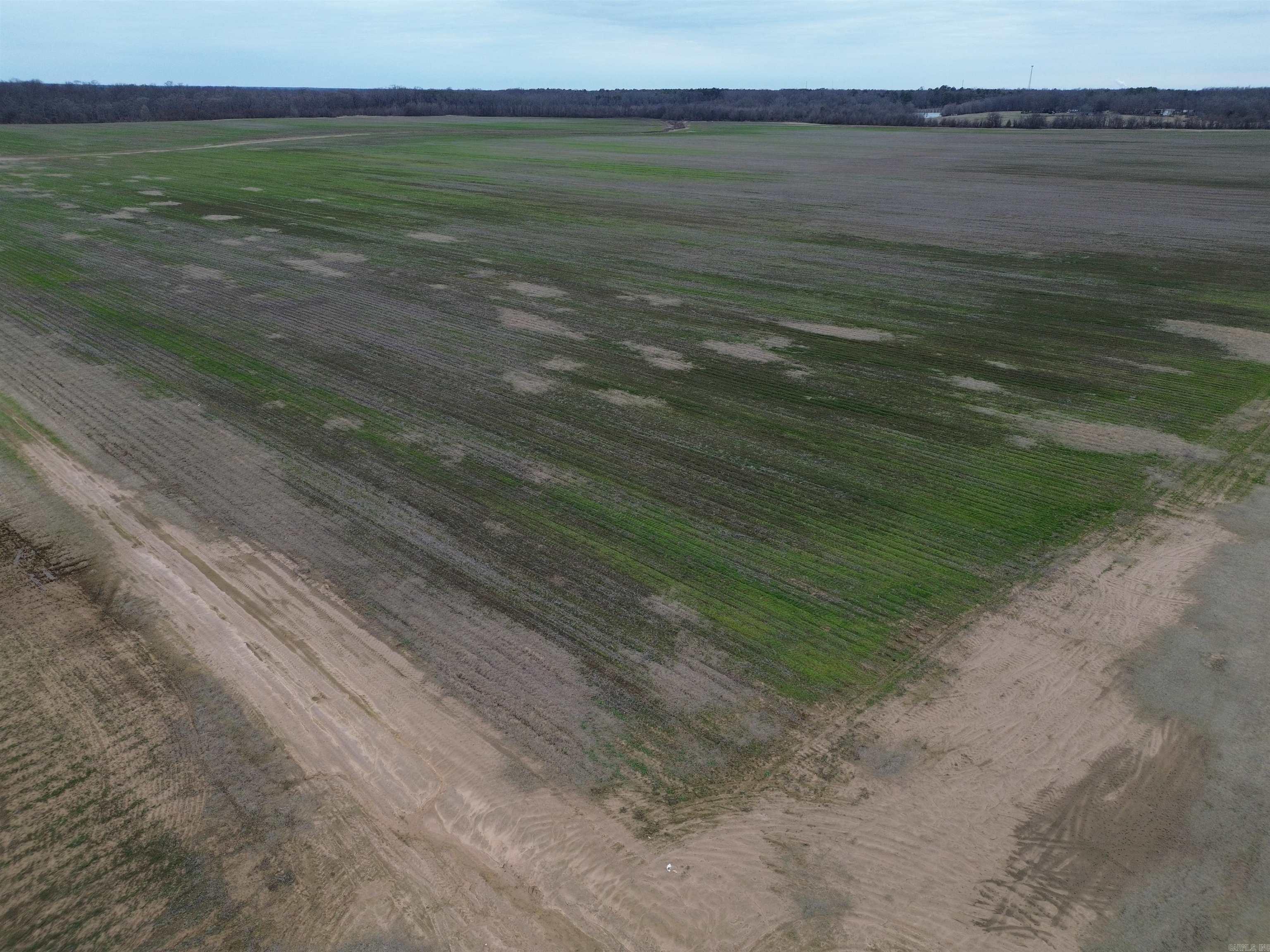 6000 Hwy 425 Property Photo 2