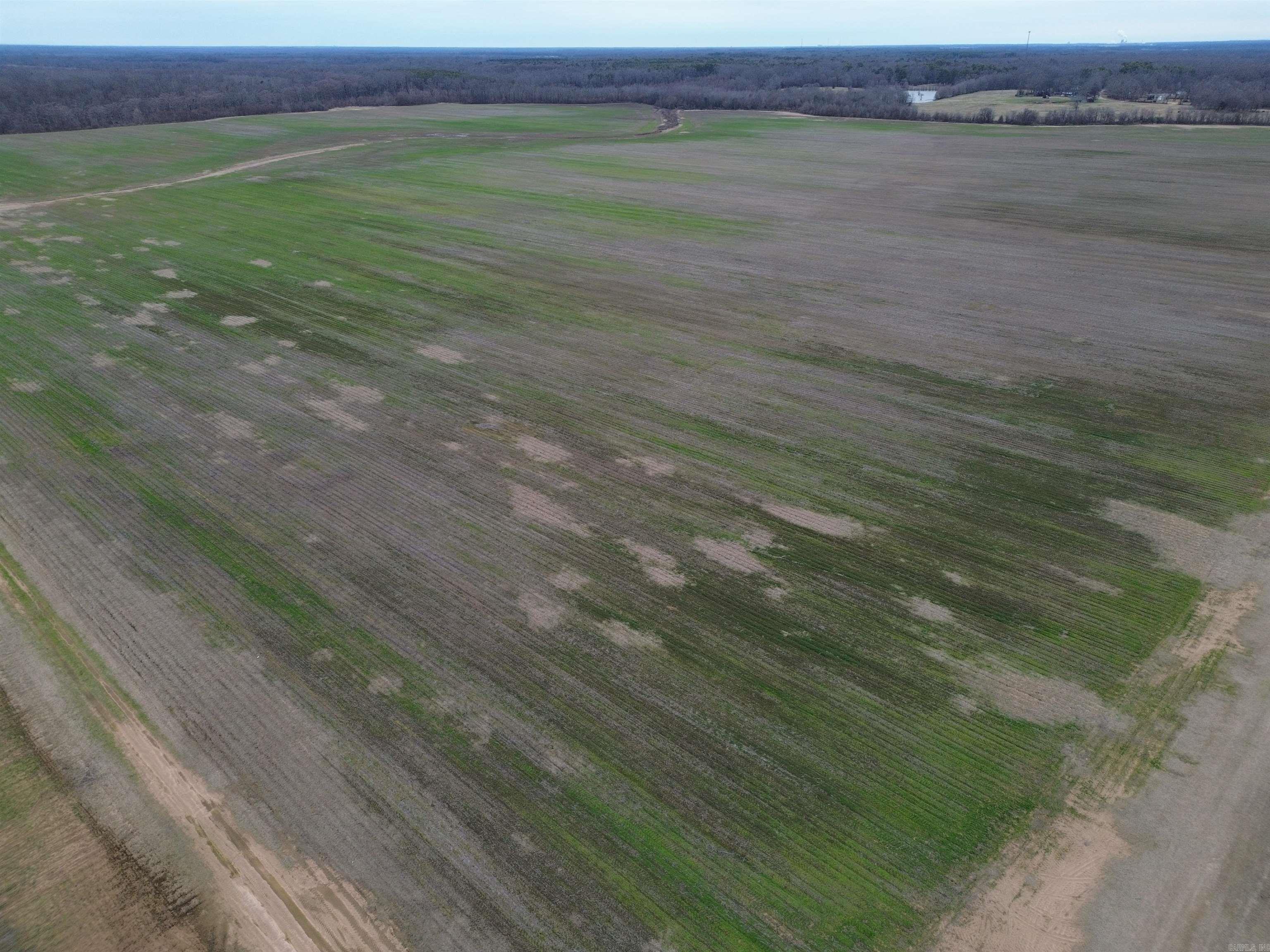 6000 Hwy 425 Property Photo 3