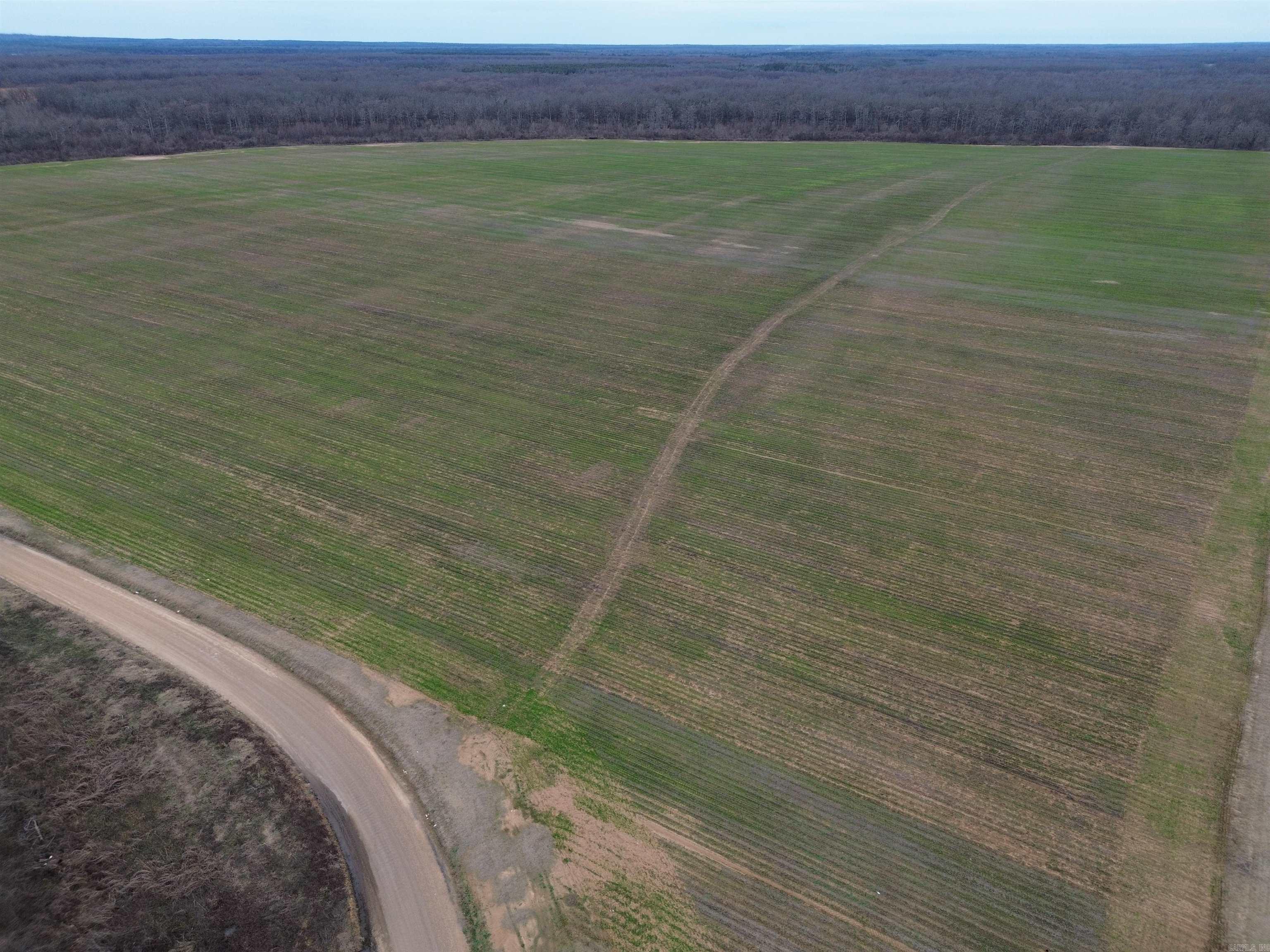 6000 Hwy 425 Property Photo 4